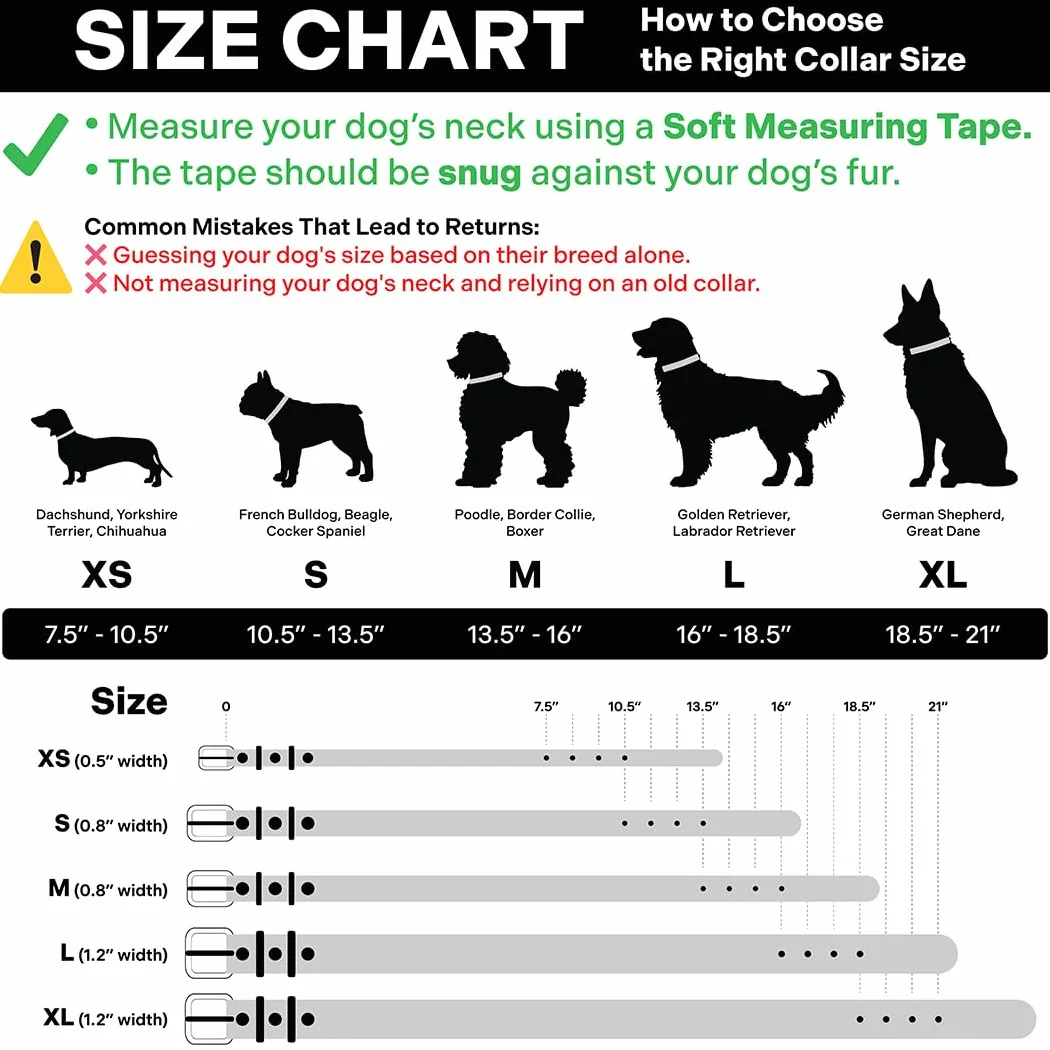 Scout Supply - Collar clásico de cuero para perro, cuero grueso de grano completo, herrajes de latón impermeable y resistente al óxido (marrón oscuro, pequeño)