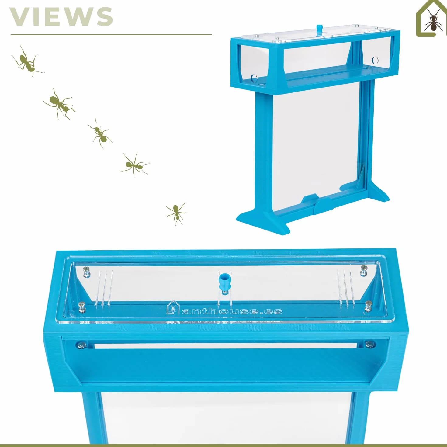 Anthouse.es - Kit Hormiguero Acrílico en Forma de T - Sándwich y Caja de Forrajeo con Tapa Retirable - Hormiguero con Hormigas Vivas Incluidas - Hormiguero de 25x20x1,5 cm - Transparente