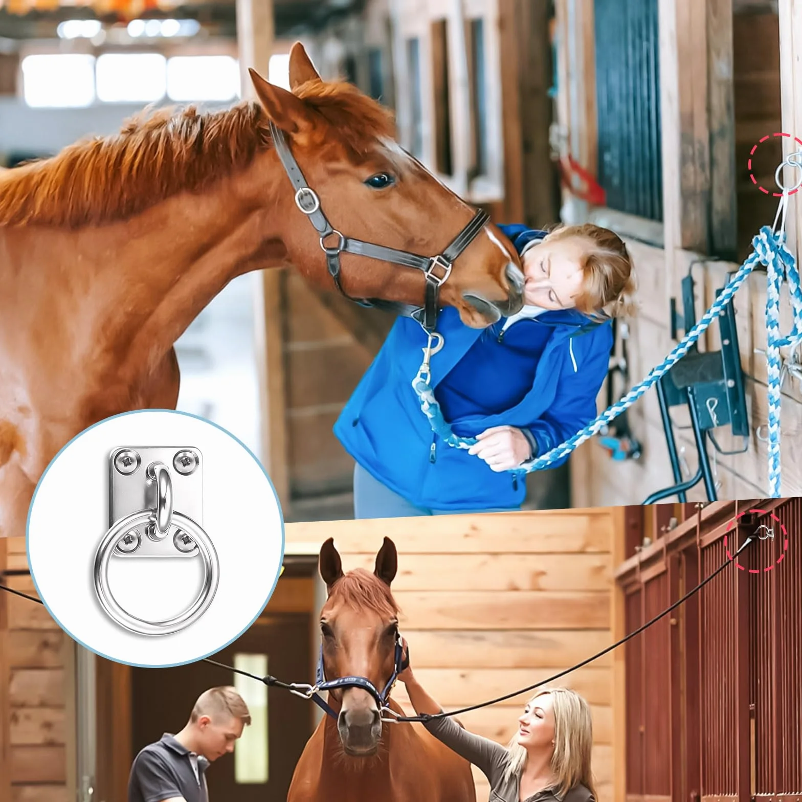 Anillos de amarre para caballos galvanizados con placa de atornillado