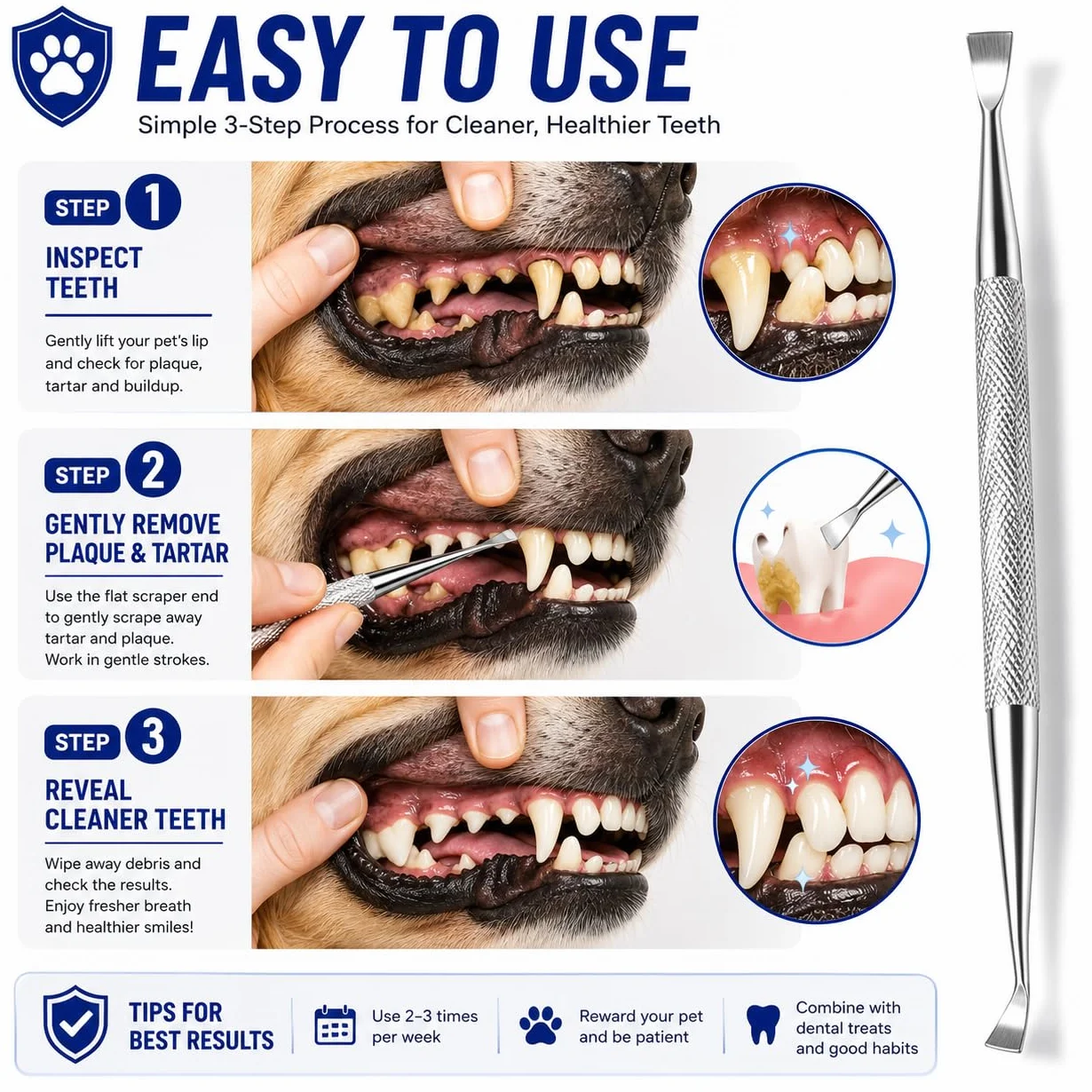 Herramientas dentales Rascador de sarro de doble cabeza Rascador de dientes dental Removedor de placa (perfecto para gatos y perros) Herramienta de limpieza de dientes de acero inoxidable