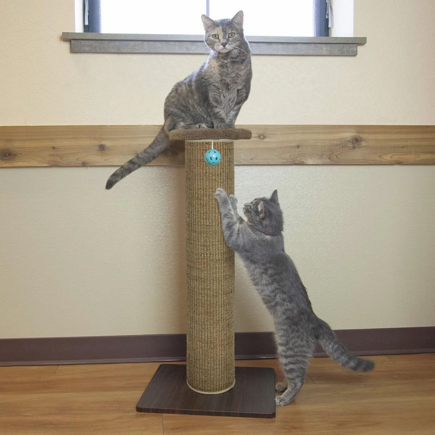Kitty City XL - Rascador de Corrugado
