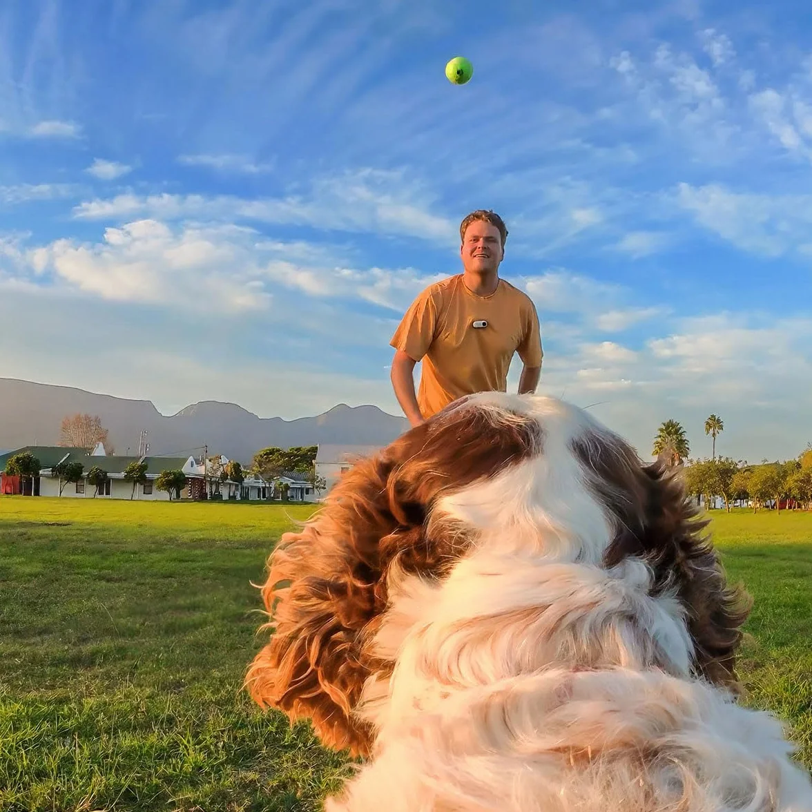 Insta360 GO 3/GO 3S - Soporte de arnés para mascotas, talla S (GO Ultra)