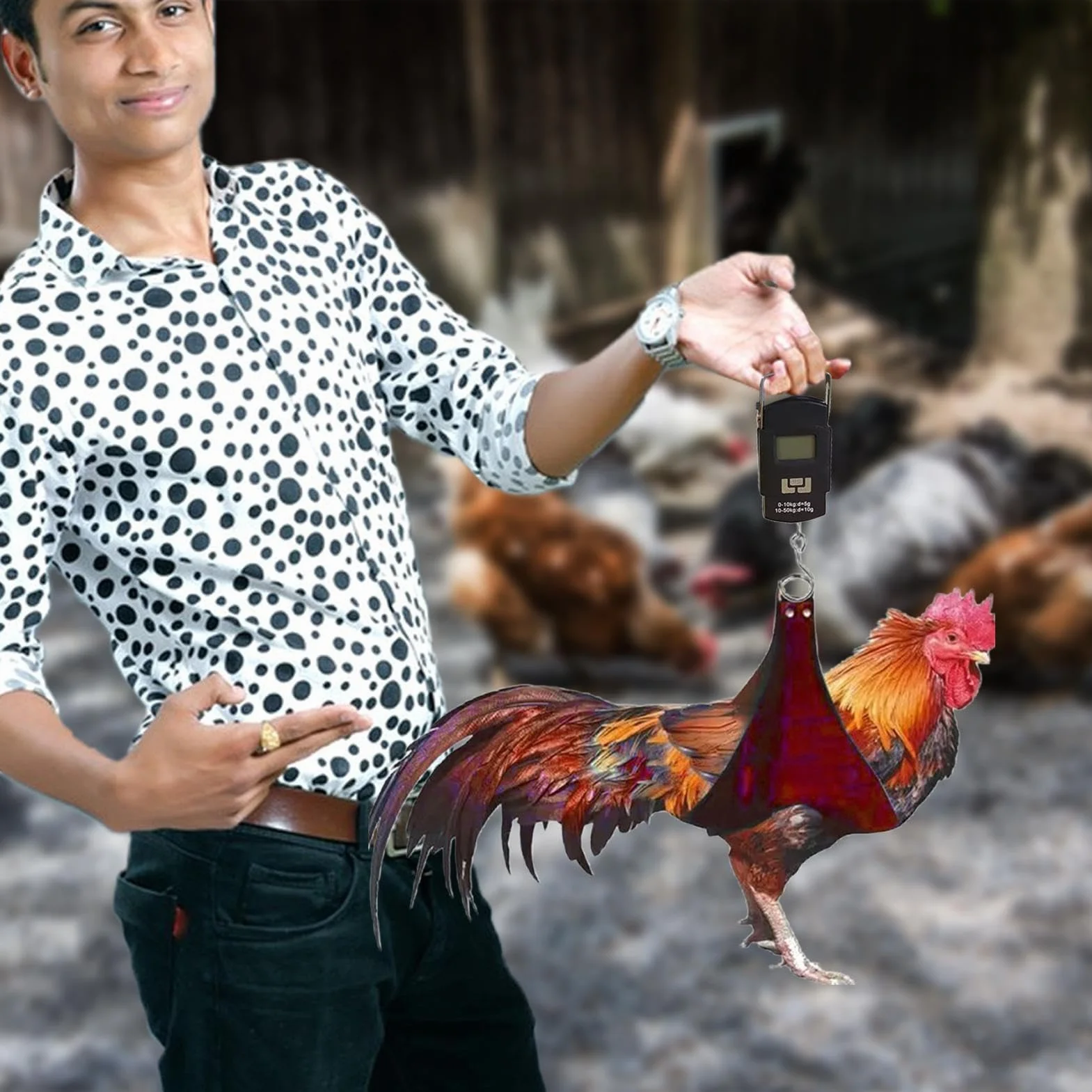 Eslinga para Soporte De Pollo: Eslinga para Gallina con Báscula De Peso Incorporada, Arnés De Pesaje De Aves De Corral Ajustable para Animales Pequeños, Eslingas De Báscula Duraderas Y Colgantes para