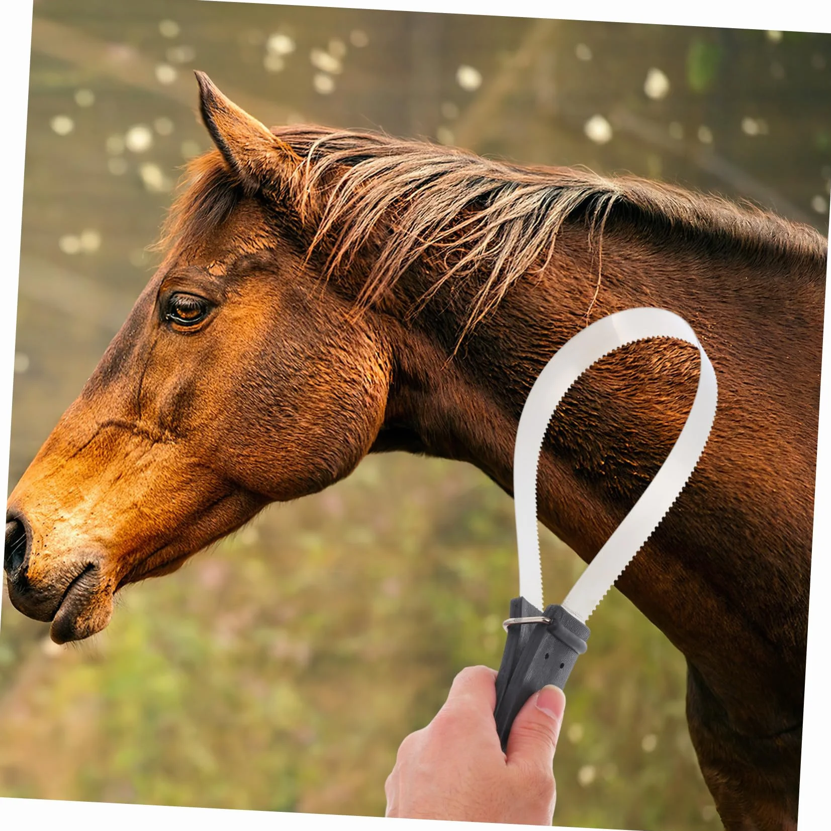 Cepillo de Pelo de Caballo con Raspador de Acero Inoxidable 11.81x3.74x0.59 Pulgadas