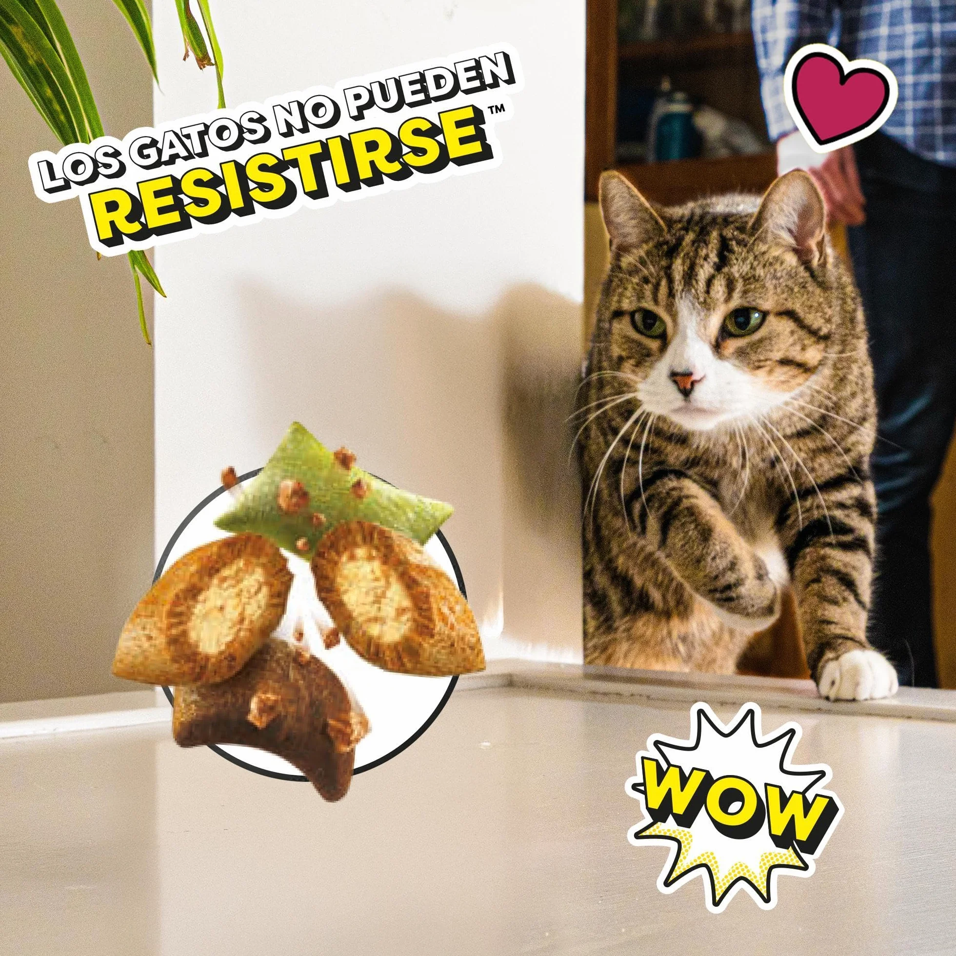Catisfactions Premios para Gatos Sabor Aves a la Brasa 6x55g