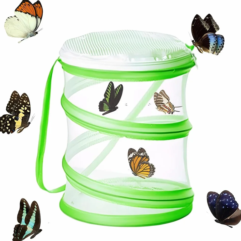 Jaula Plegable para Mariposas, Valla para Insectos, diseño portátil, Captura de Insectos, educación científica, Red de cría para Mariposas/luciérnagas/Plantas