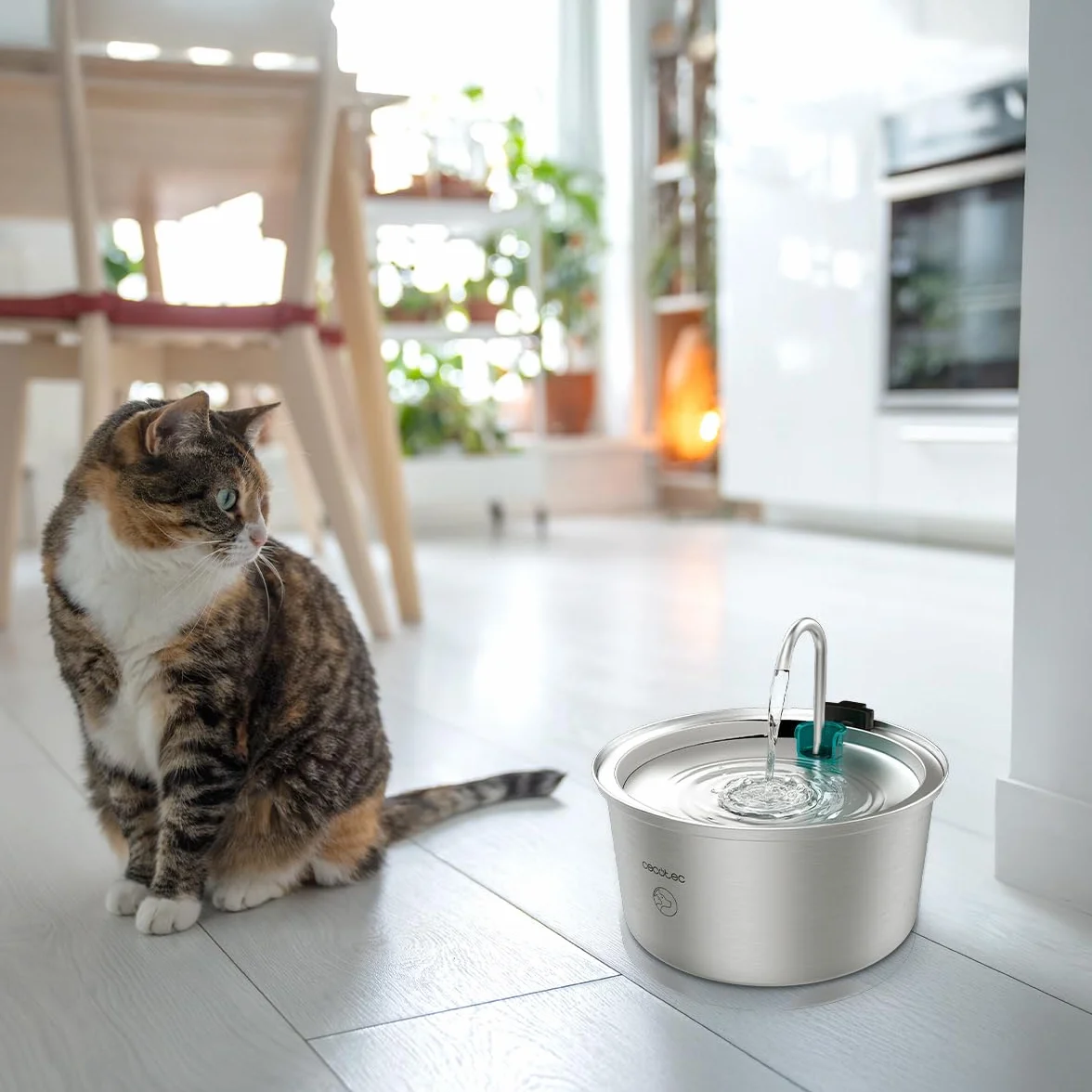Cecotec Fuente para Gatos Automática Mascotas Pumba 3200 Refresh INOX. Capacidad de 3,2L, Acero Inoxidable, Filtro Alto Rendimiento, Silenciosa, Diseño de Cascada, IPX4, Fácil Limpieza