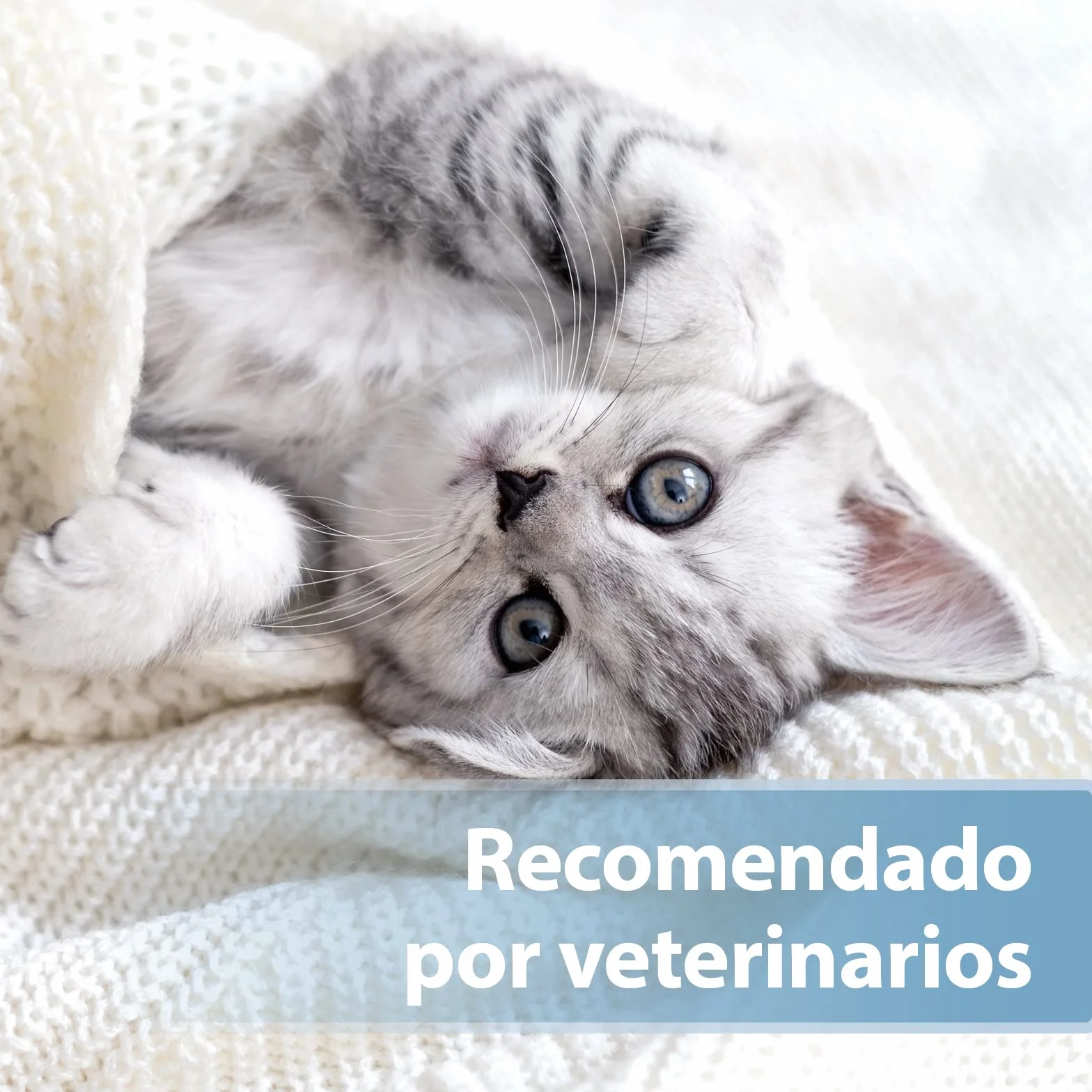 Felisept Almohadilla Para El Cuidado de los Oídos Para Gatos 50 piezas - Cuidado e higiene para orejas de gato - Alevines para una limpieza práctica e intuitiva - Limpiador de oídos para gatos