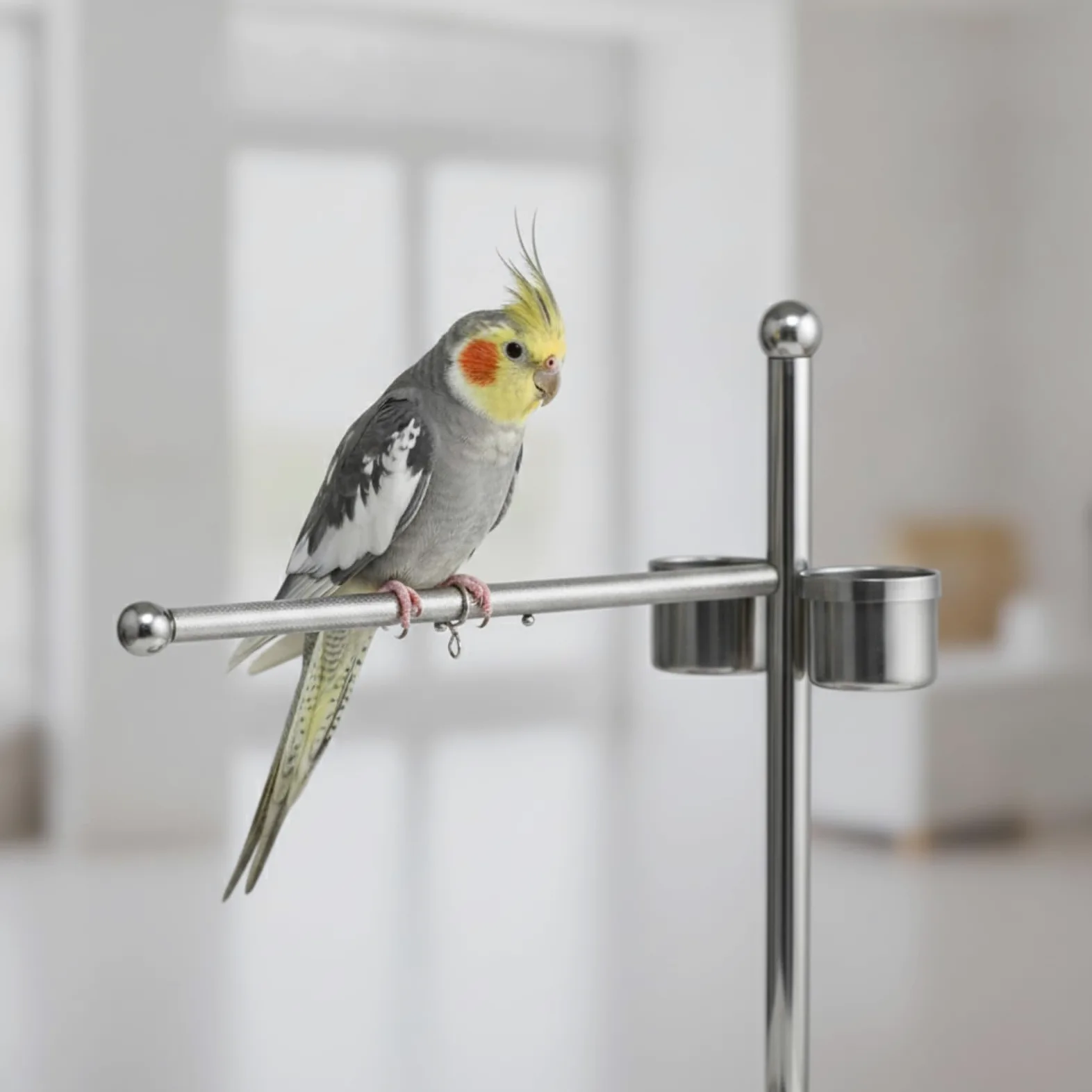 Milageto Avian Perch Stand Percha Ave Soporte, Soporte De Pie De Pájaro De Acero Inoxidable Tipo 7 con Bandeja Redonda - Grande