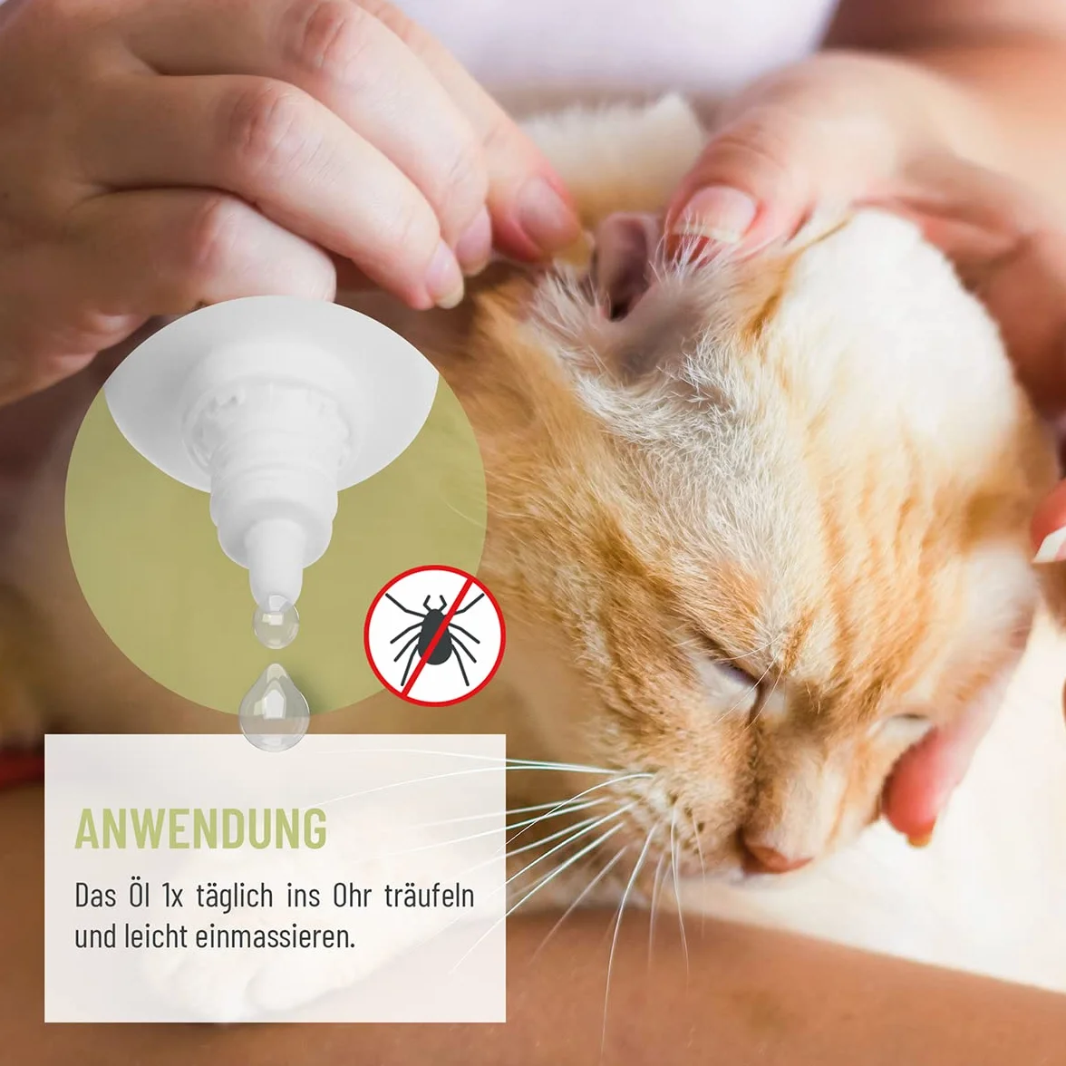 ReaVET Aceite para Ácaros de Oído Plus 50ml - Tratamiento rápido para Gatos contra ácaros de oído, con manzanilla, Alivia la picazón y Limpia Suavemente los oídos. Gotas para oídos y Limpiador