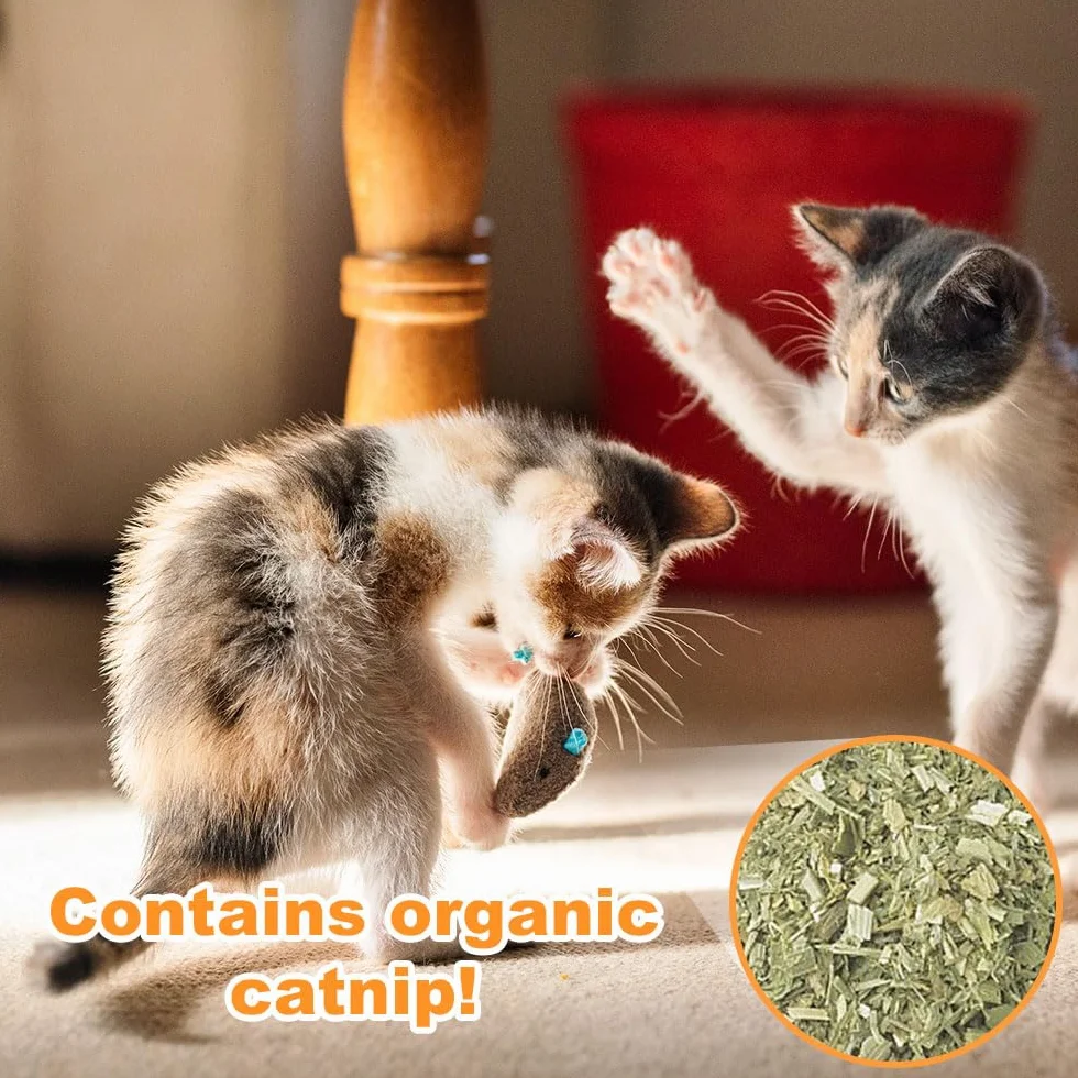 20 Piezas Juguetes paraGatos Ratas Ratones para Gatos de Peluche Ratones de Juguete de Hierba Gatera Juguete de Ratón de Peluche de Gato Interior (Multicolor)