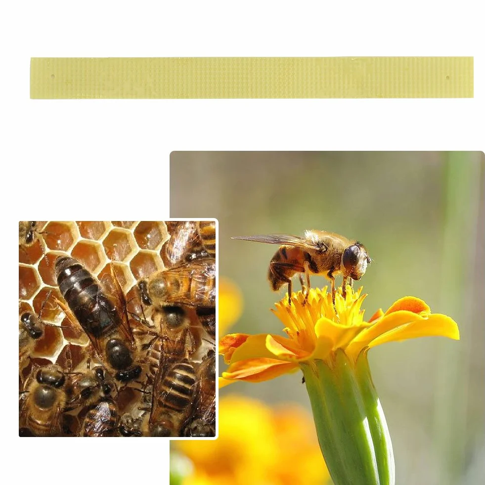 40 Unids Tiras Plásticas Tiras de Fluvalinato Ácaro Varroa dewin Medicina Apícola Medicina Asesina Apícola Tiras De Plástico Tira De Fluvalinato Abeja Ácaro Varroa Asesino Apicultura Medicina