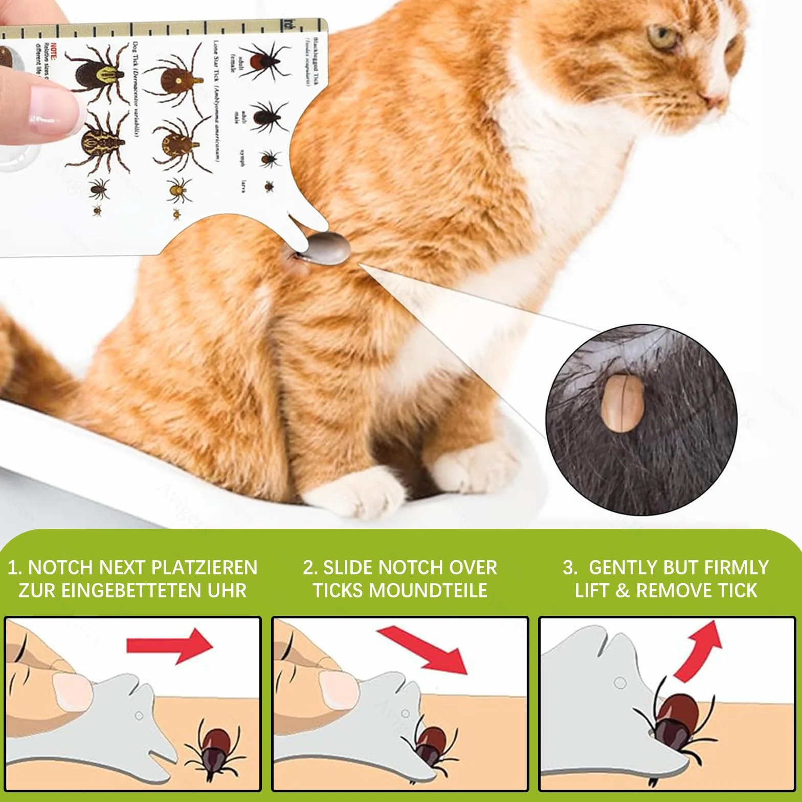Avigers 3 tarjetas de garrapatas con lupa para humanos, niños, perros y gatos, tarjeta de garrapatas para personas al aire libre, camping y mascotas, tarjeta de tick para eliminar suavemente las