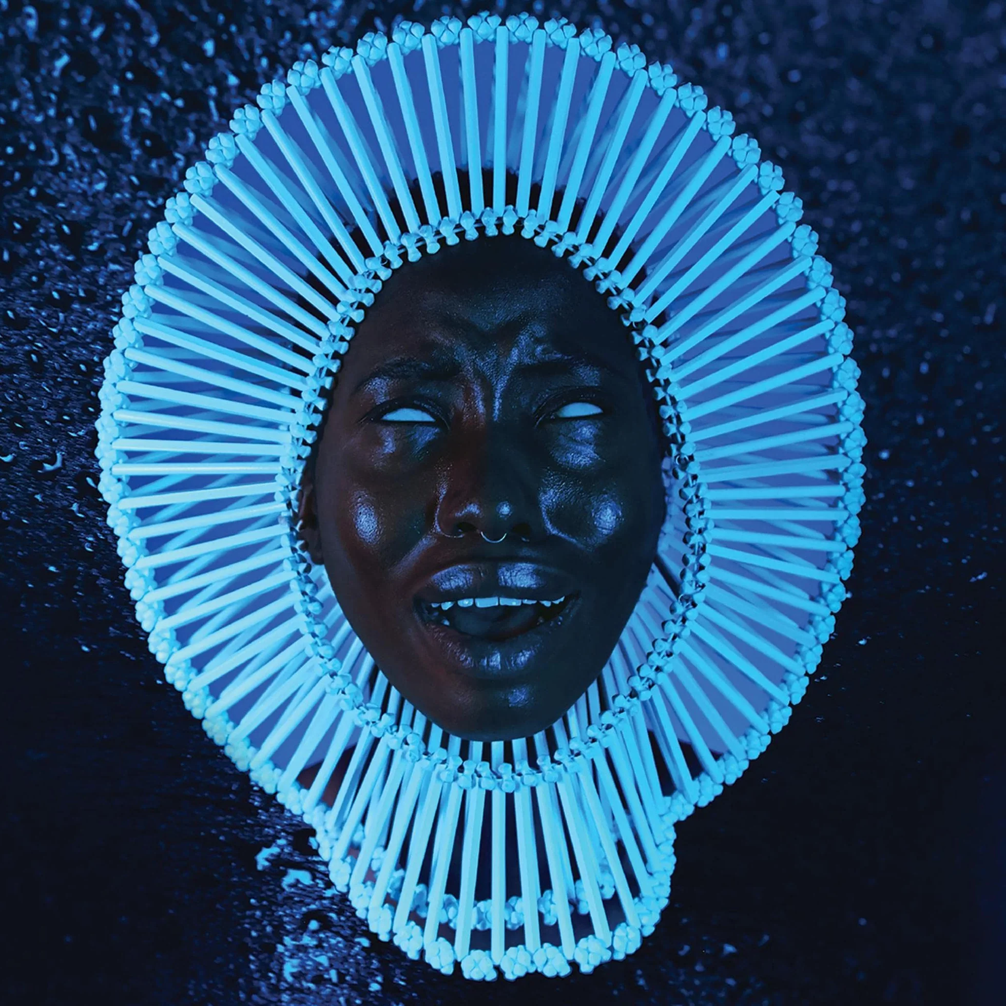 Awaken, My Love! Vinilo