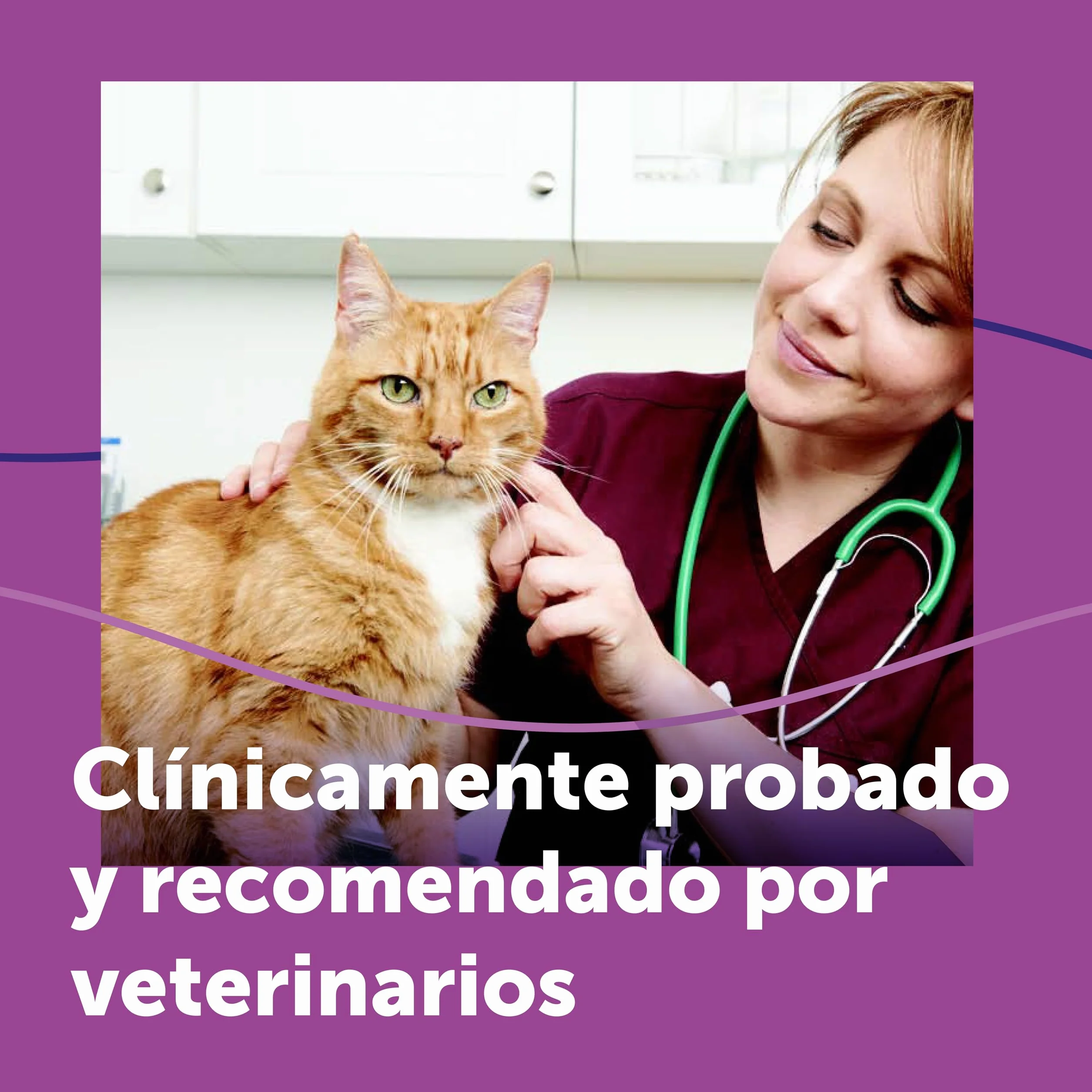 FELIWAY Classic Spray - Feromonas calmantes para gatos (60ml). Reduce los marcajes con orina y el estrés durante los viajes en transportín. Recomendado por veterinarios.