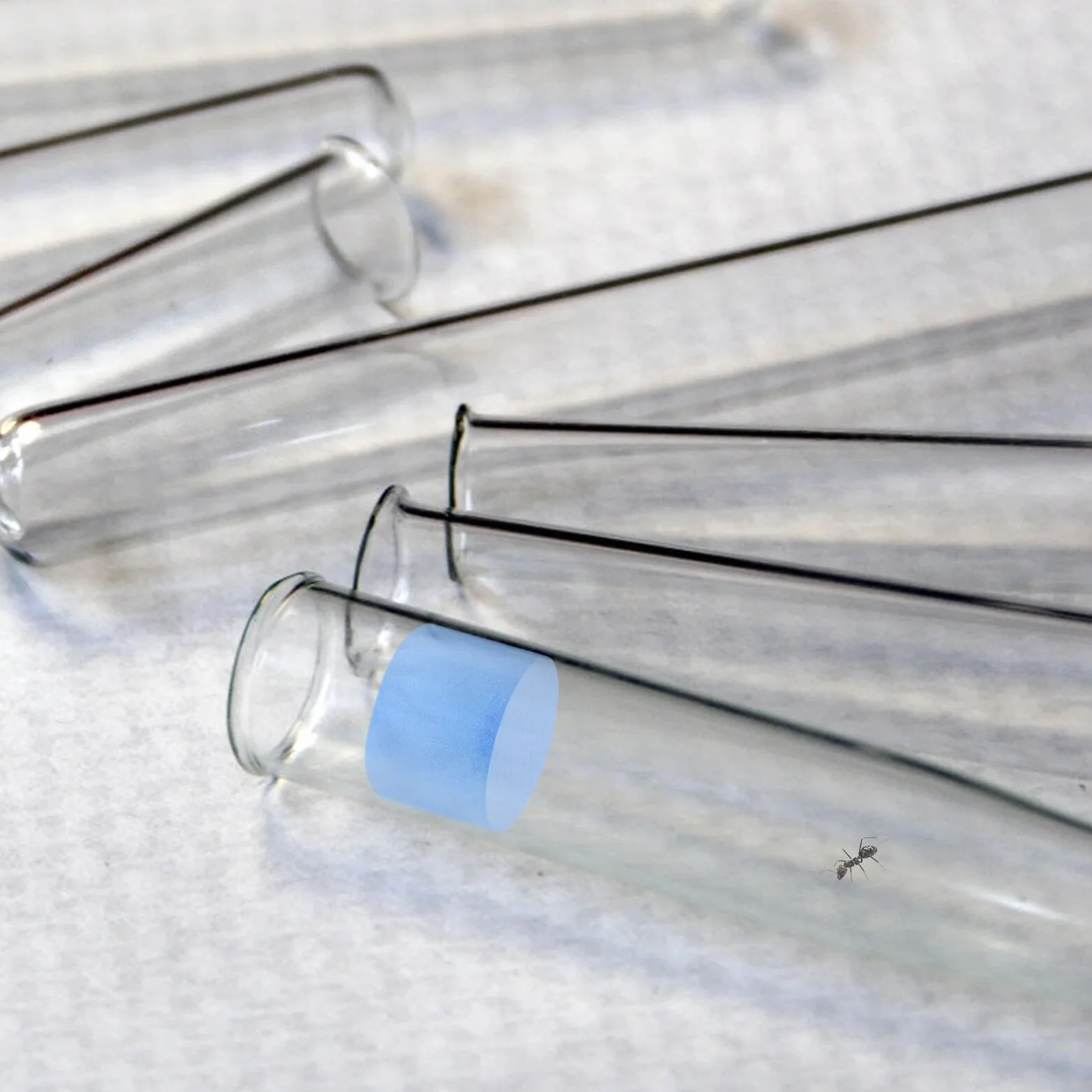 5 Esponjas de Espuma Azules para Tubos de Laboratorio, Suministros para Nidos de Insectos Ambiente Cómodo y Fácil de Usar en Aprendizaje Naturaleza