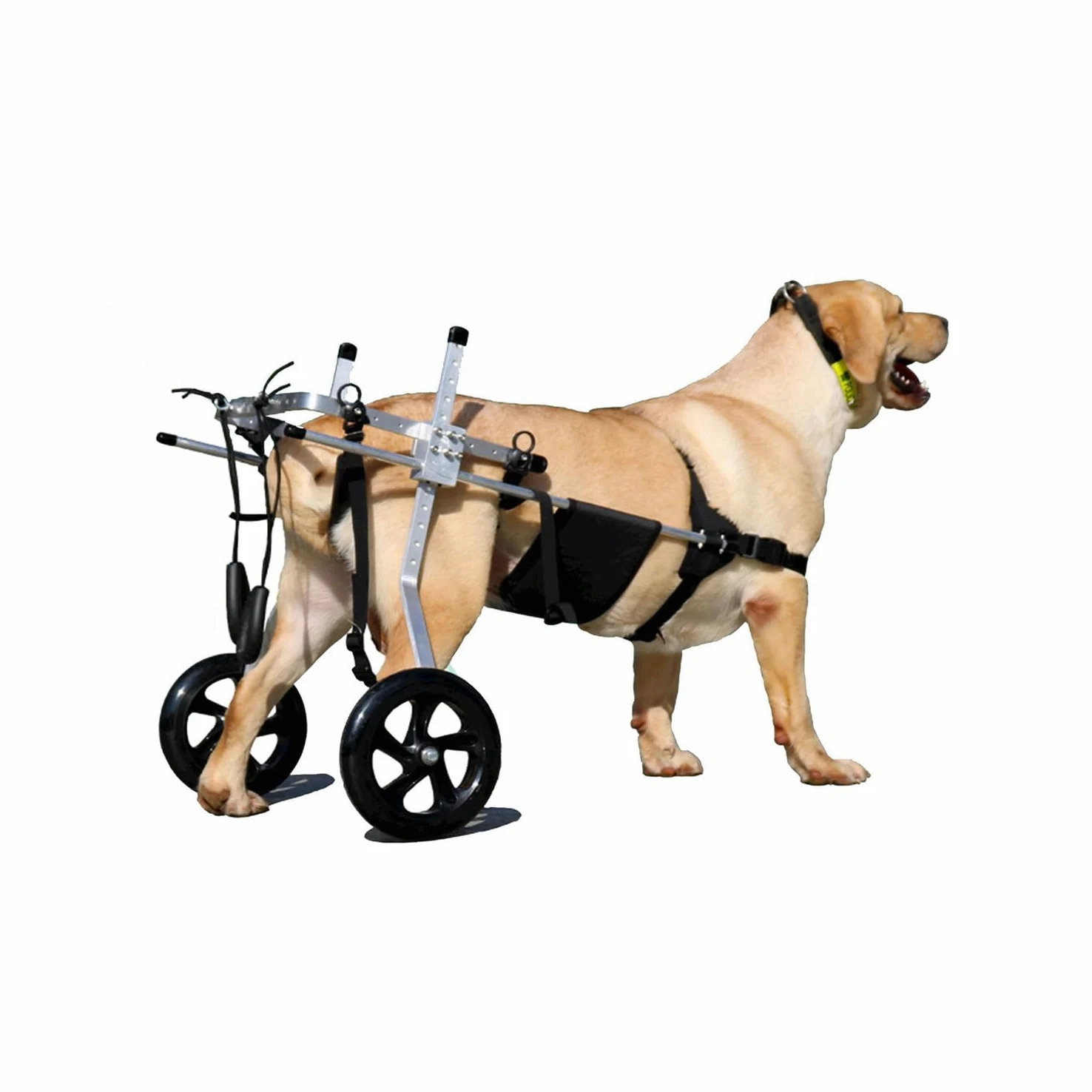 2 Ruedas Silla De Ruedas Ajustable Carro De Animales Con Discapacidad Física Scooter Para Mascotas Para Mascotas Silla De Ruedas Para Rehabilitación De Patas Animales Discapacitadas(Size:M（15-20kg）)