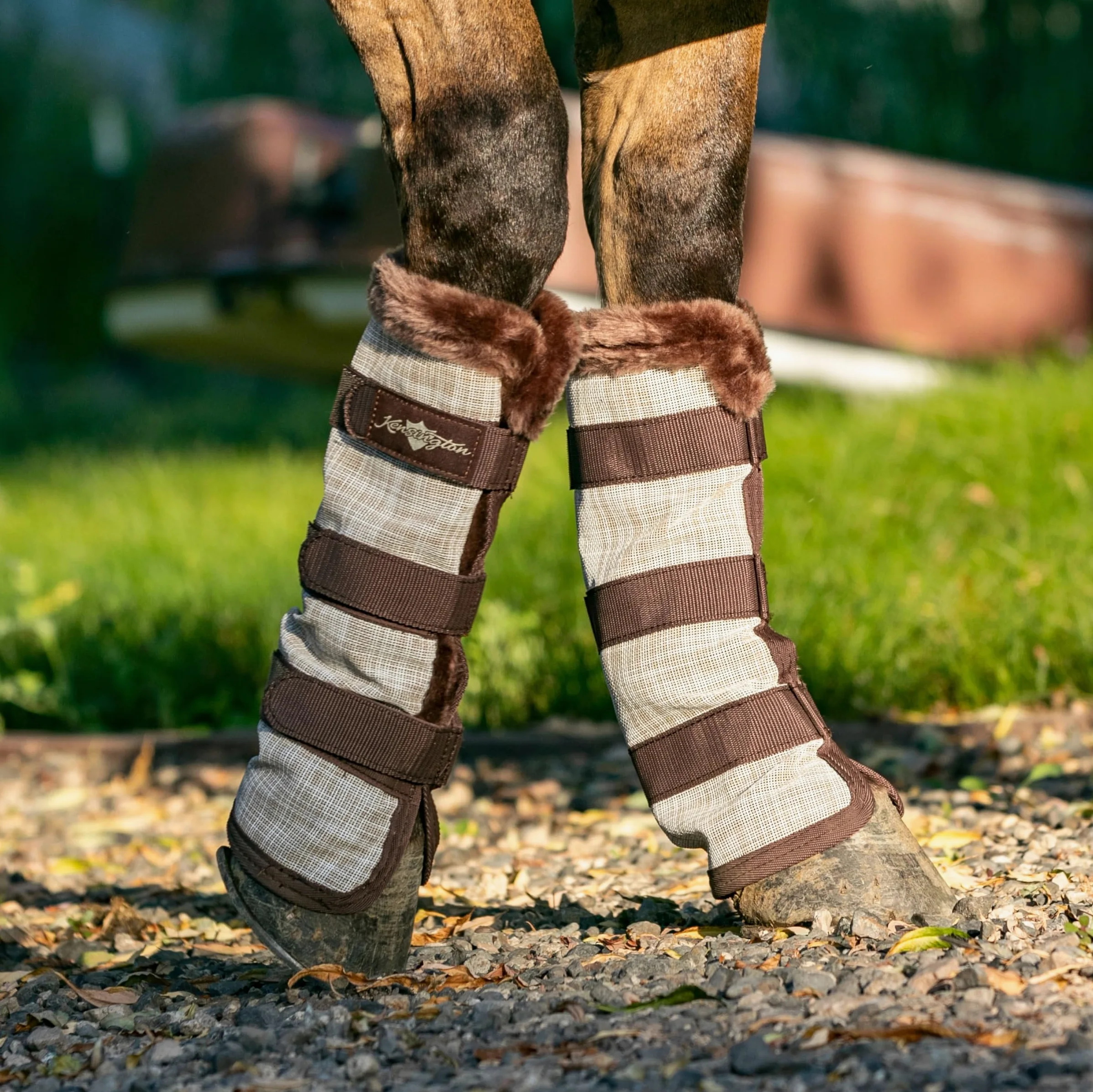 Kensington Botas para Mosca de Caballos Naturales con Forro Polar Recortado, tecnología Stay-Up – Protección contra picaduras de Insectos y Rayos UV – se Venden en Pares (2 Botas), Medium, Bronceado