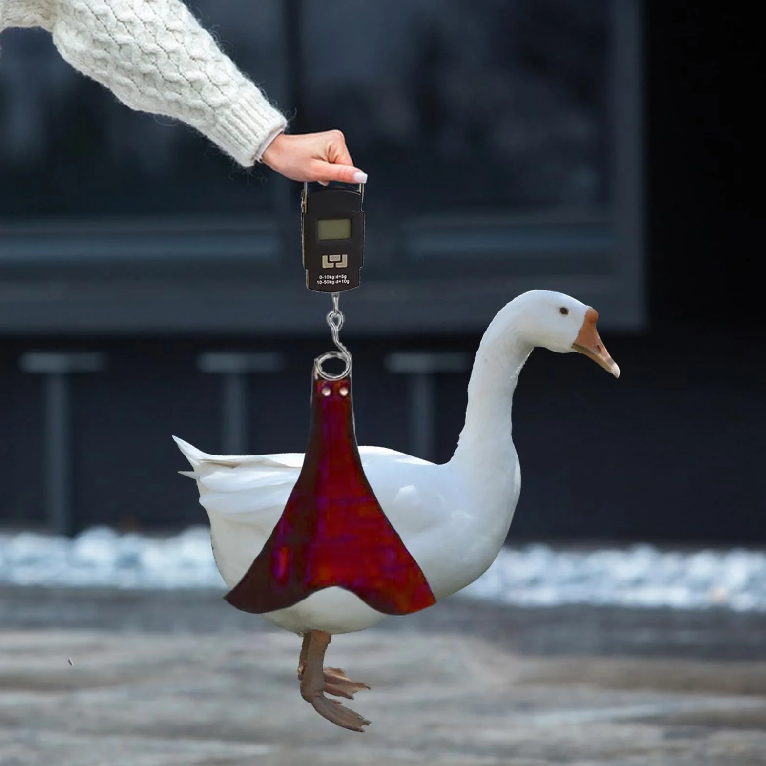 Eslinga para Soporte De Pollo: Eslinga para Gallina con Báscula De Peso Incorporada, Arnés De Pesaje De Aves De Corral Ajustable para Animales Pequeños, Eslingas De Báscula Duraderas Y Colgantes para