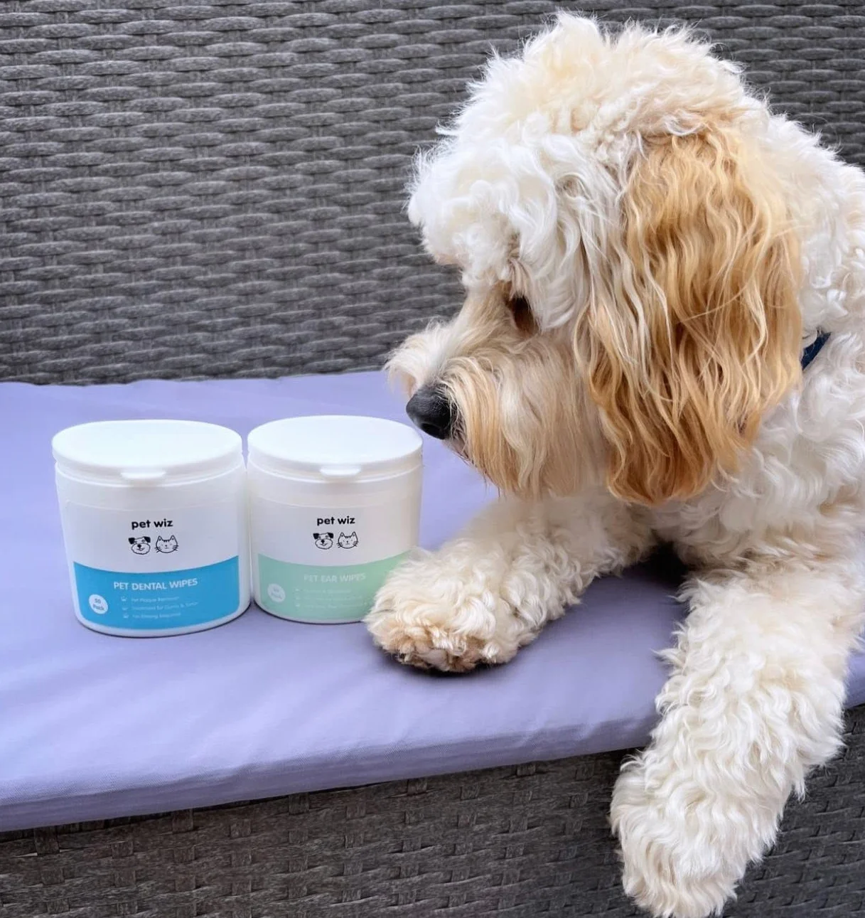 Toallitas dentales para Dedos con Aceite de Menta Verde para Perros y Gatos. Elimina la Placa y el sarro, cuida Las encías y no Requiere Enjuague.