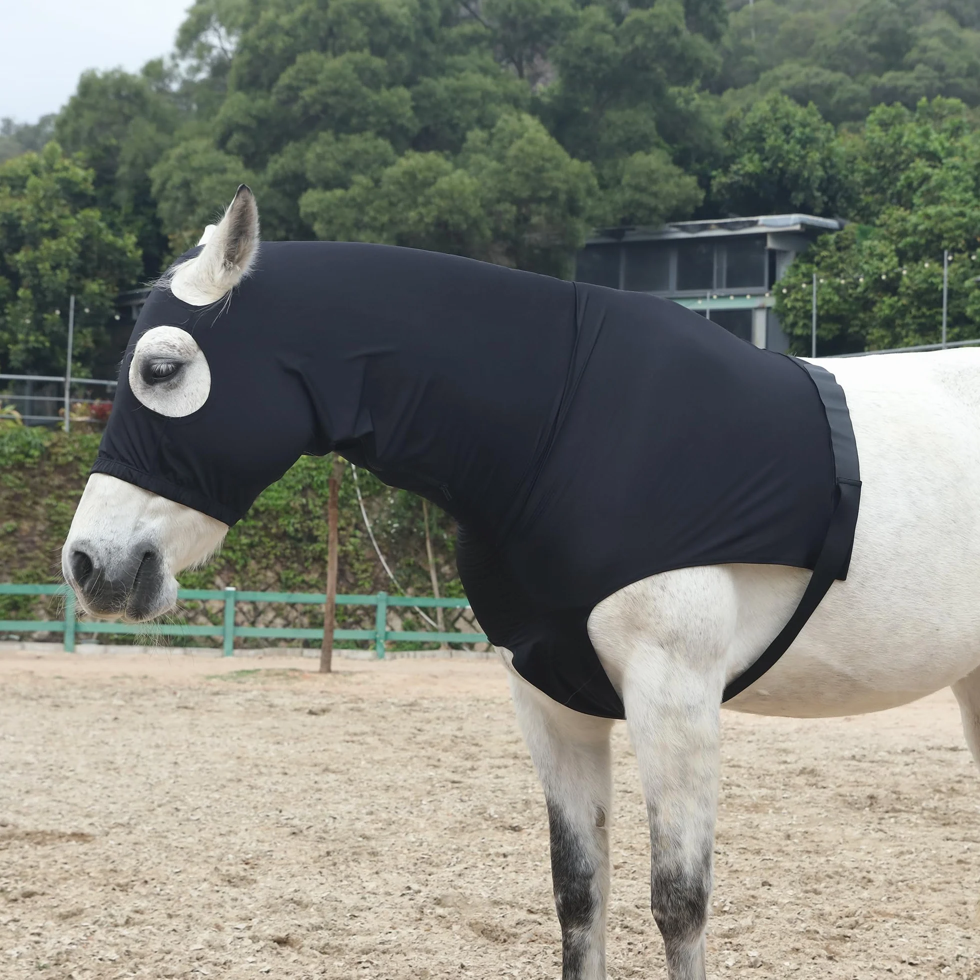 Leberna Capucha Lycra con Cremallera para Caballo XL Negro