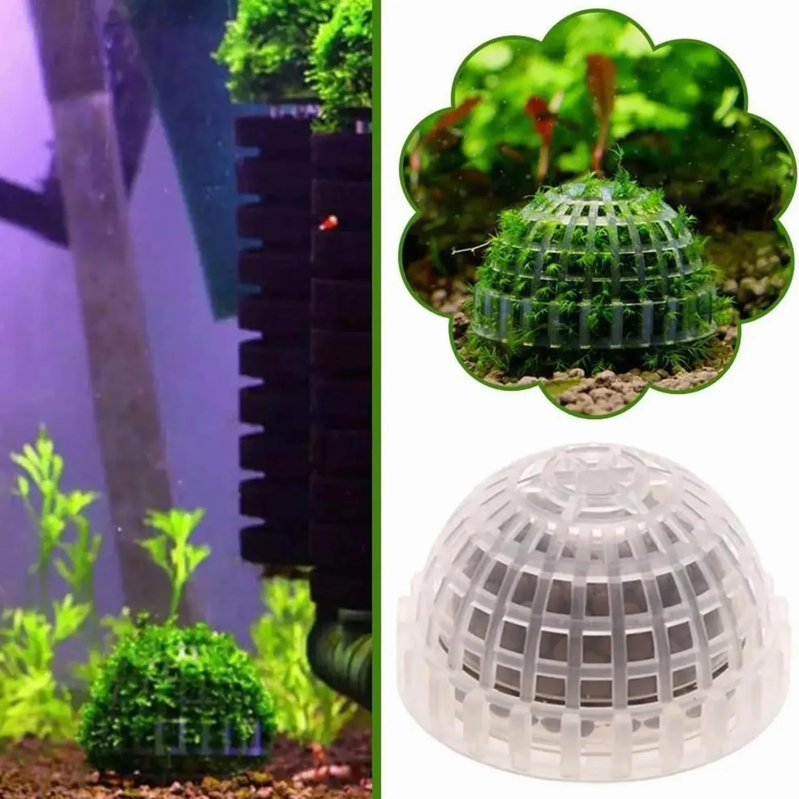 Acuario Decoración Plantas Bio Moss Ball Holder para Acuario | Accesorios de filtro de decoración for pecera, casa de camarones rojos cristalinos, for acuario(5PCS)