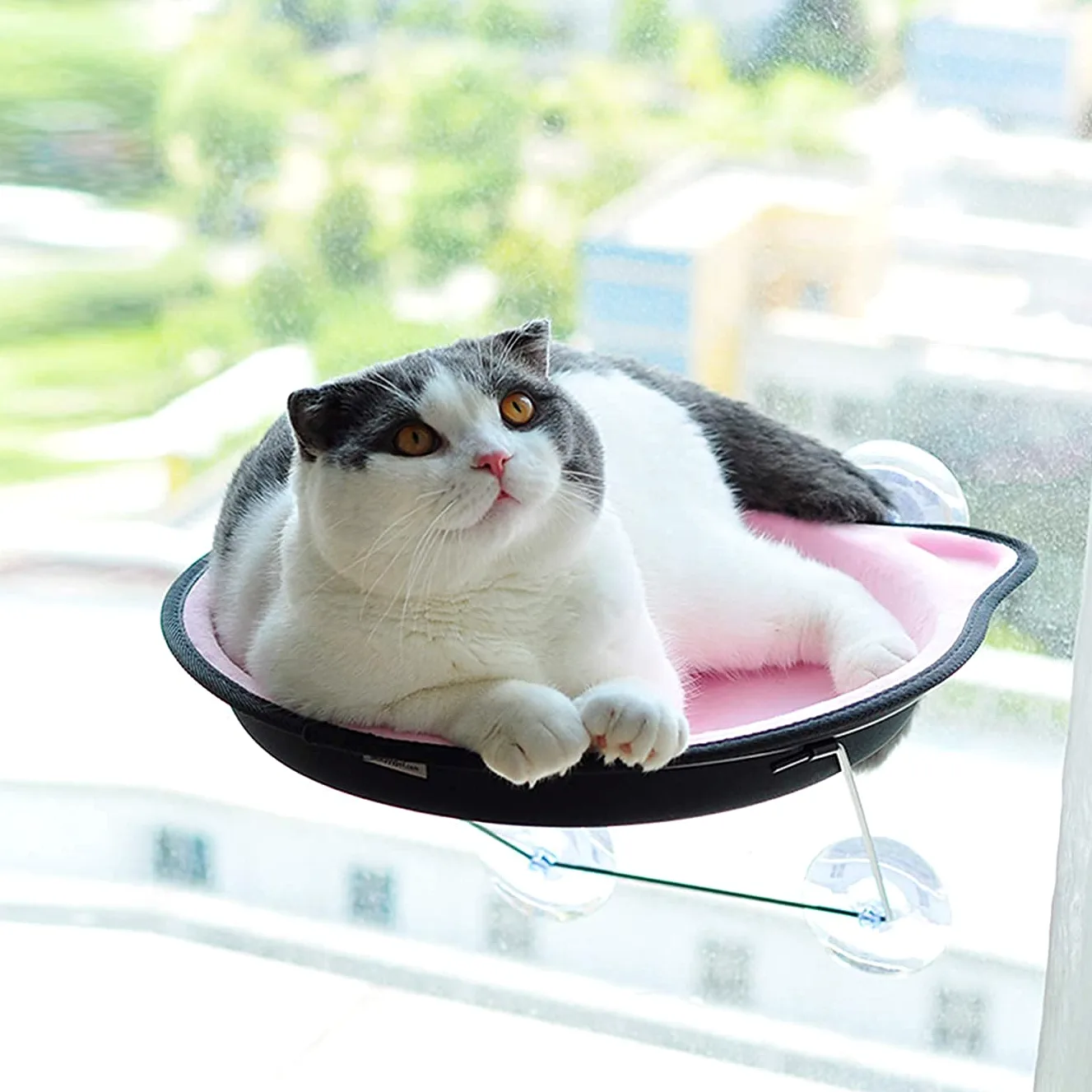 Hamaca para Gato Hamaca Ventana de Gato Cama montada en la Ventana para Gatos Asiento de Sol para Ventana Hamaca para Percha Cojín Cama Estante Colgante Asiento Hamaca para Tomar el Sol Taza de Succi