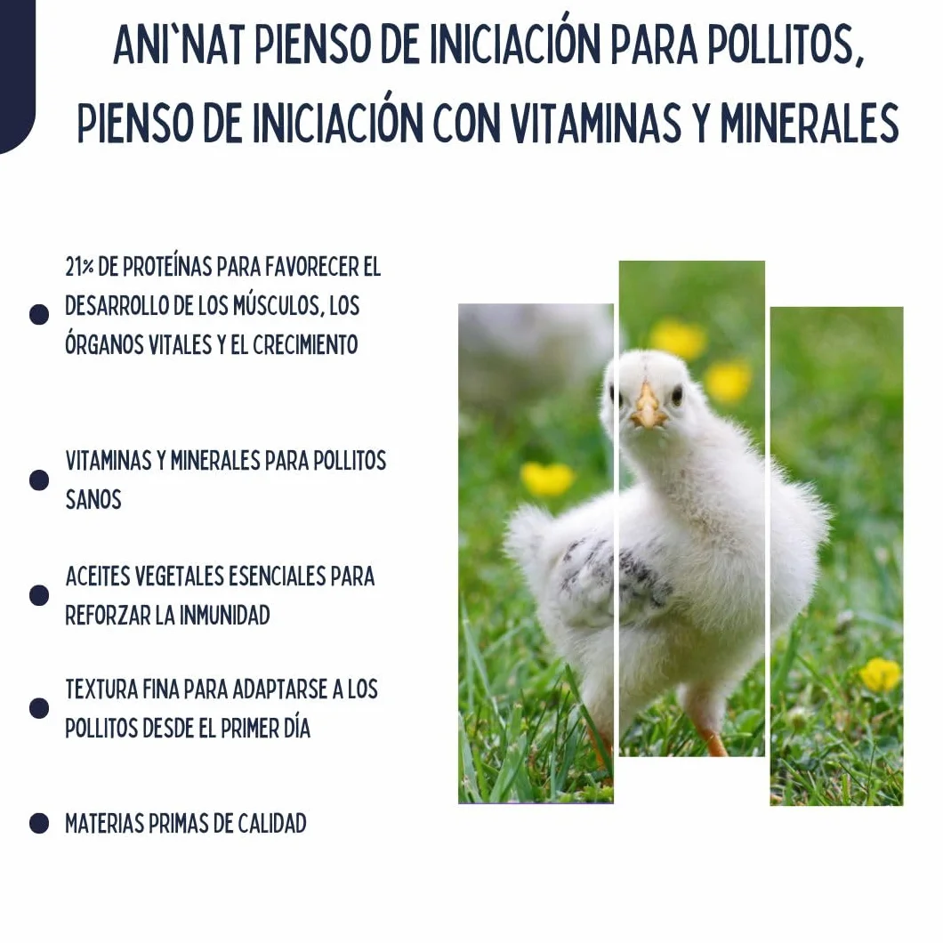 AniNat Alimento de Inicio para Pollitos, Comida de Primera Edad con vitaminas, proteínas y minerales, aceites Esenciales. Apto Desde el Nacimiento. Sin OGM. Sin antibióticos