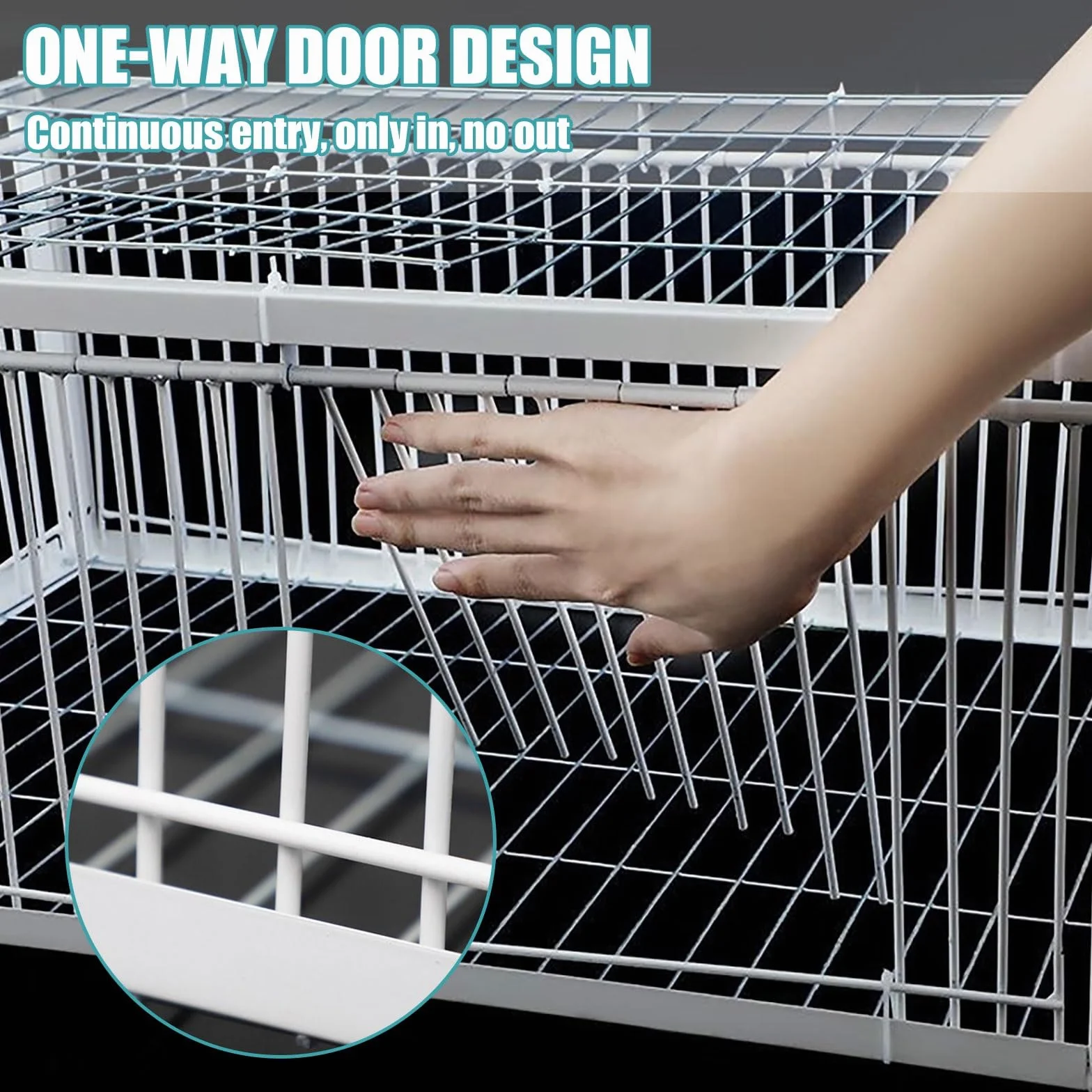 Jaula Palomas Trampa con Diseño a Prueba de Escape, Trampa Automática para Pájaros con Entrada Unidireccional, Jaula para Atrapar Pájaros Portátil y de Fácil Montaje para Granjas, Bosques(Blanc