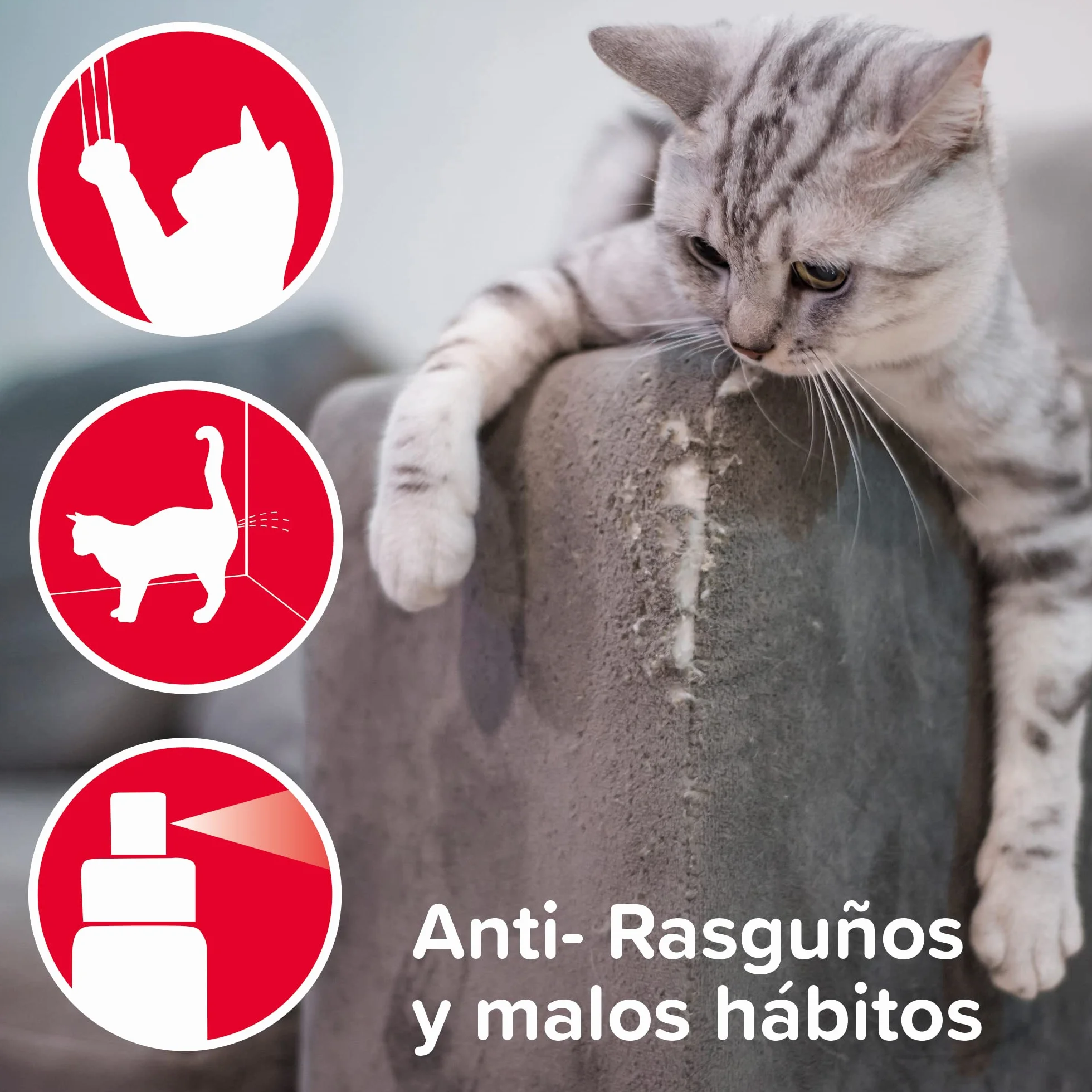 Beaphar Keep Off - Spray Educador Gatos - Anti-arañazos - Frena los Malos hábitos - Protege sofás y mobiliario - Eficacia Repelente Inmediata - 100ml