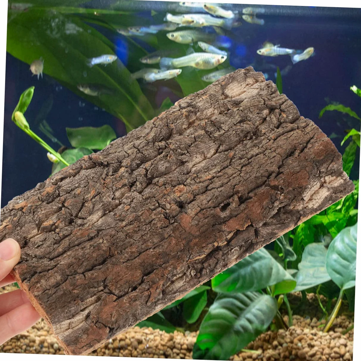 BESPORTBLE 10piezas Reptile Bark Backdrop para y Terrarios Natural De para Decoración De Peceras y Reptiles y