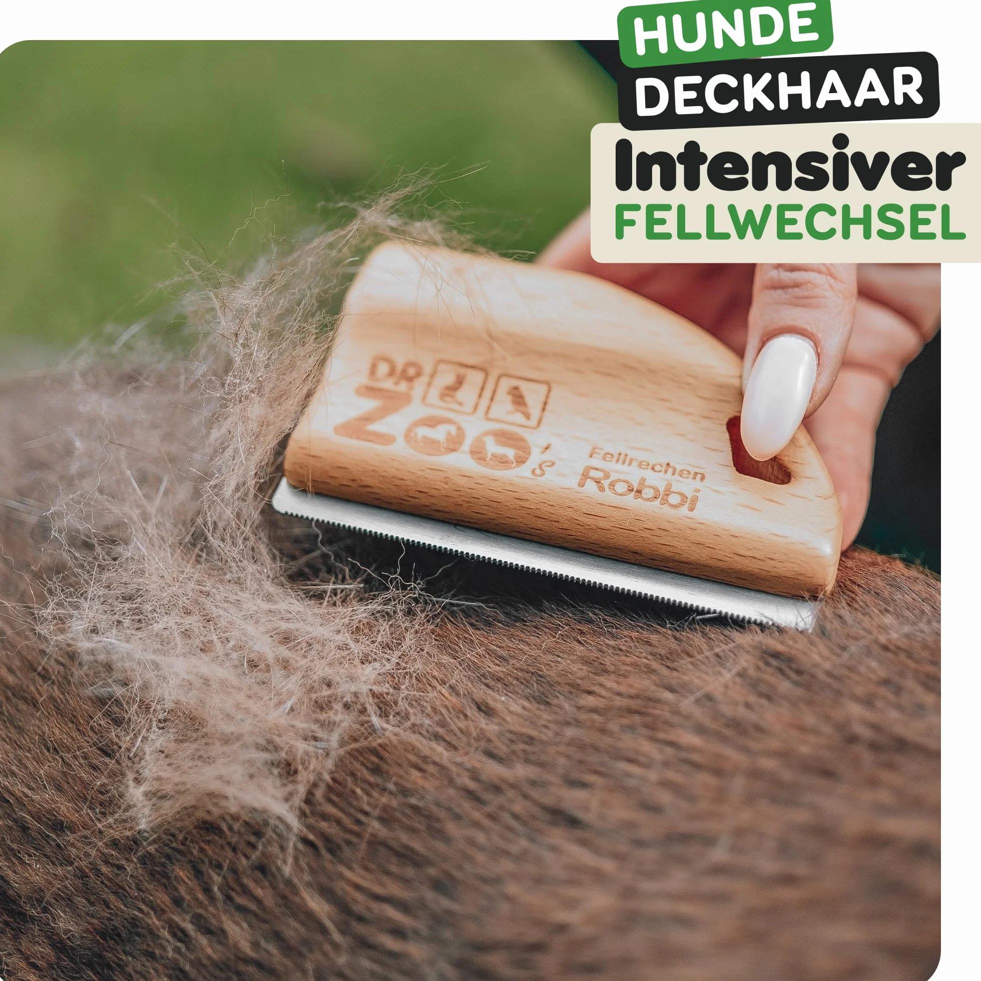 DR Zoo Cepillo para perros "Robbi" – Cepillo milagroso de alta calidad para el cuidado eficaz para perros pequeños y grandes, ideal para eliminar el pelo corto con capa interna