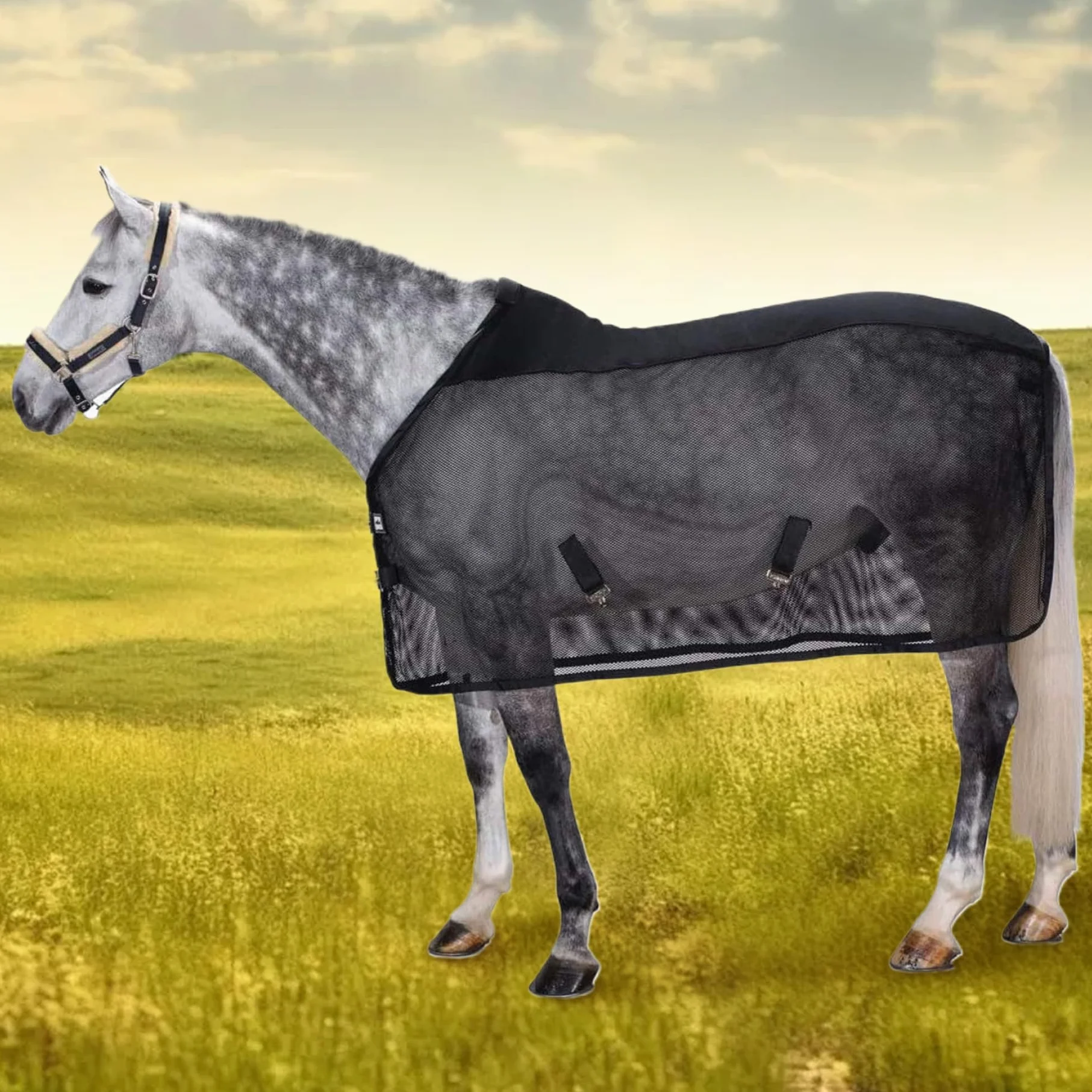 Mantas para caballos para caballos reales Hojas de moscas de caballos, sábanas de mosca ajustable para caballos, protección UV ＆ Mantas de malla de malla transpirable para caballos reales, sábana c