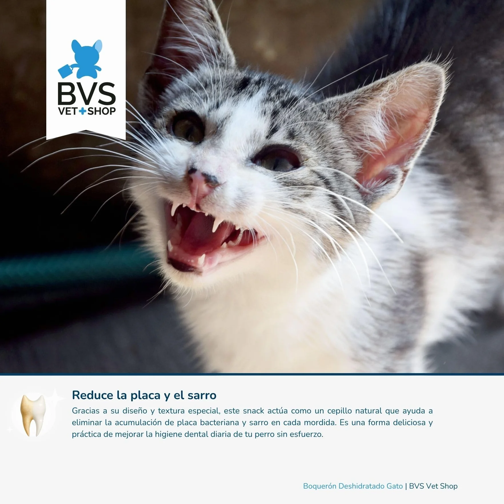 BVS Vet Shop | Boquerón Deshidratado para Gatos | Ayuda a Mantener una dentadura Sana y una higiene bucodental óptima | 60 gr
