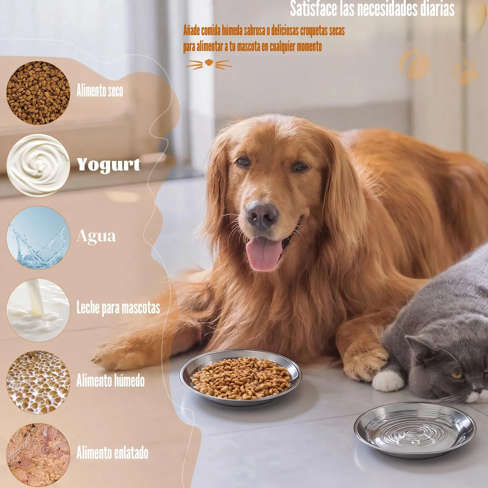 6 Piezas Cuenco para Gato Inoxidable 304, Cuenco Plano para Gatos Aliviar La Fatiga de Los Bigotes, para Alimentación de Cachorros Gatos 14,5 × 3 cm