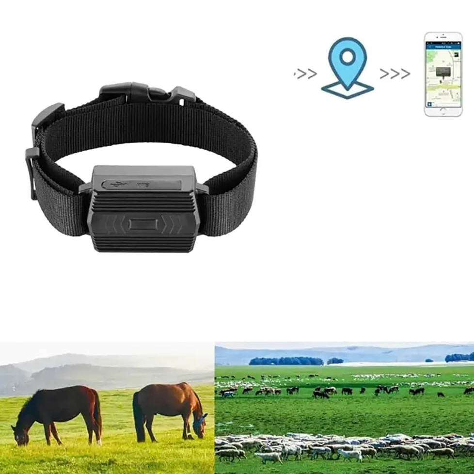 Rastreador GPS para animales, localización en tiempo real y monitoreo de velocidad, alertas móviles de sobrevelocidad para la seguridad del ganado