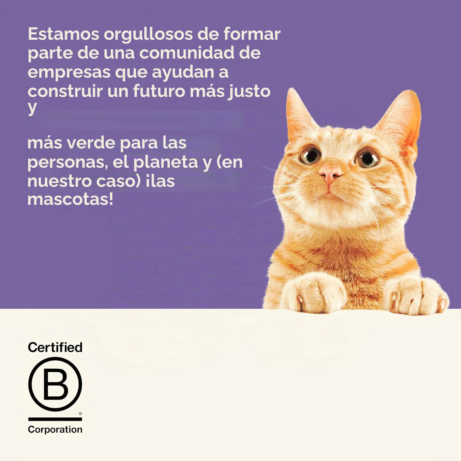 Applaws Comida Húmeda para Gatos Adultos en Caldo - Atún, Pollo y Pescado del Océano - Paquete 12x70g