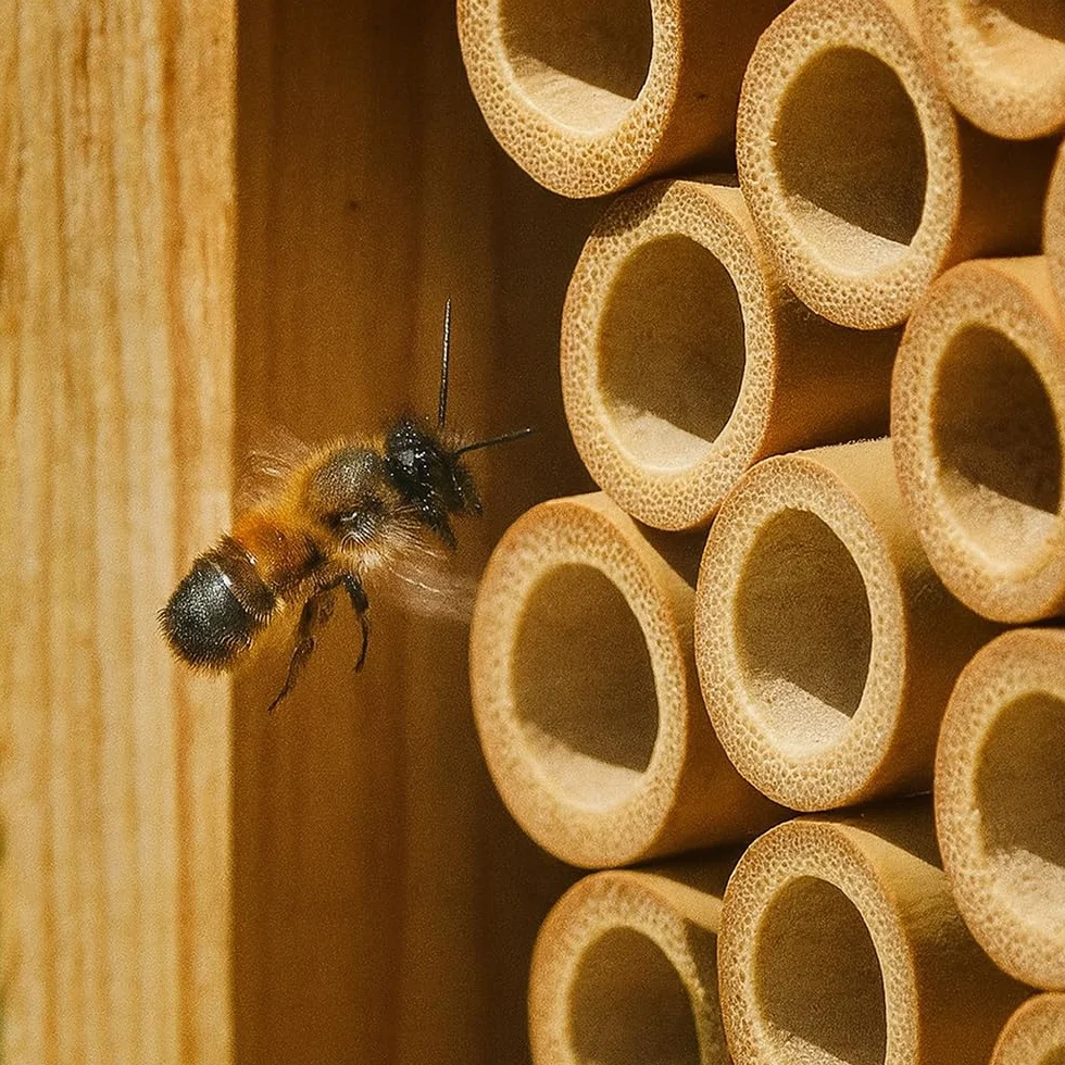 Vie Naturals - Tubos de bambú para Abejas, 15 cm, 100 Unidades