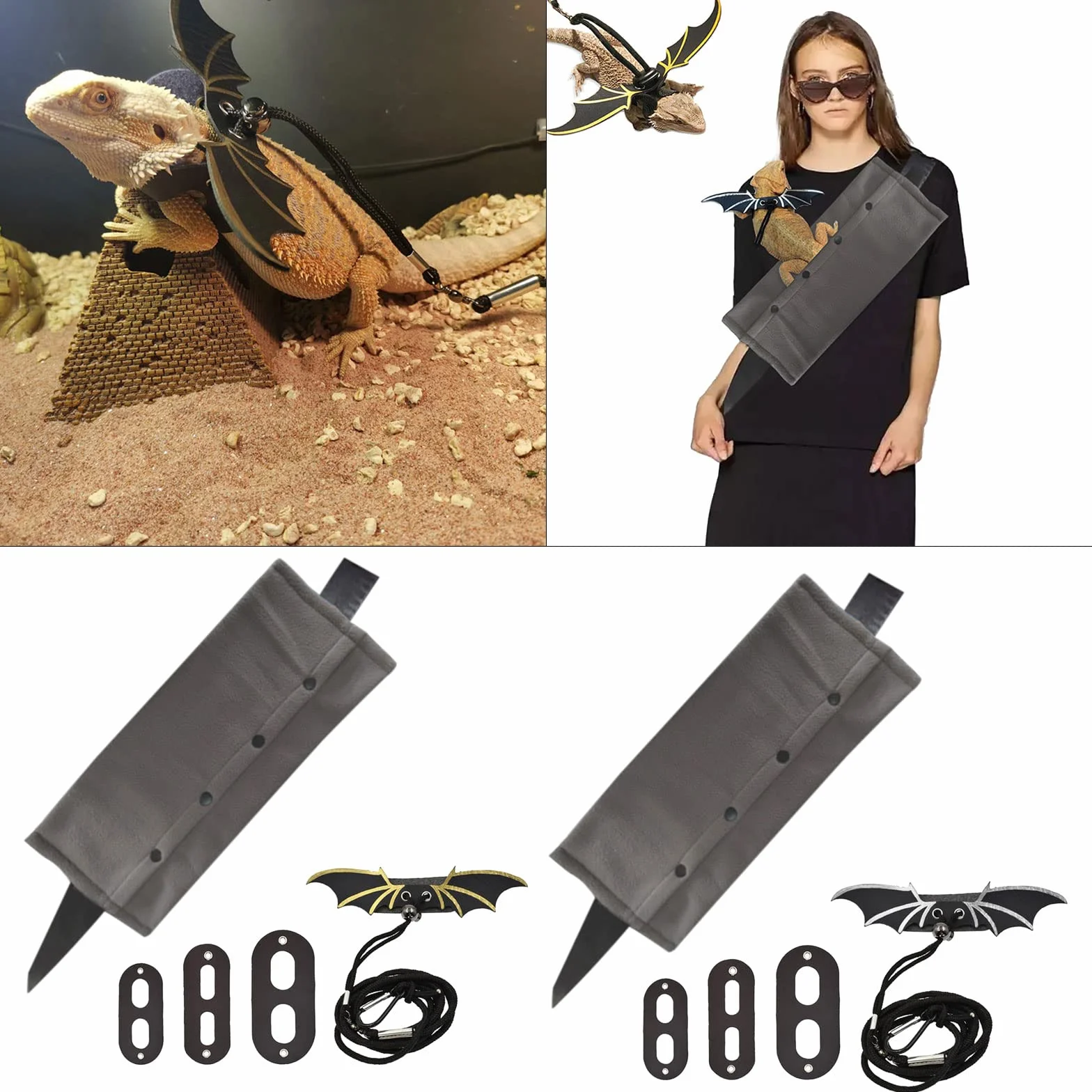 Dragón barbudo para transportador que camina con accesorios de dragón barbudo + para entrenamiento con bolsa de transporte
