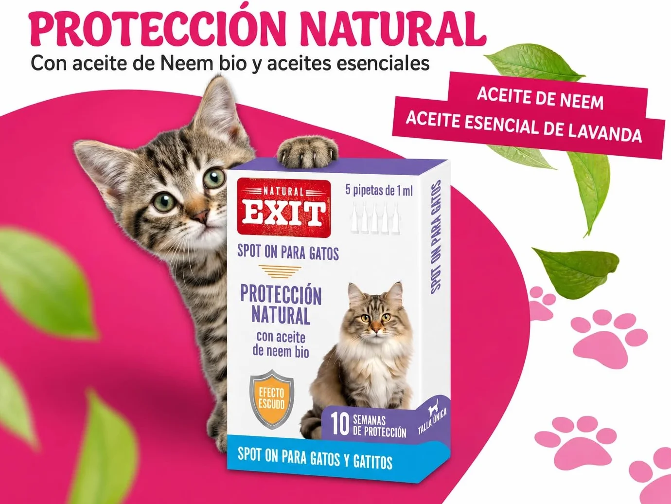 Spot On Antiparasitario Natural para Gatos y Gatitos de Larga Duración, 5 Pipetas de 1 ml, Protege contra Pulgas, Garrapatas, Flebotomos y Mosquitos