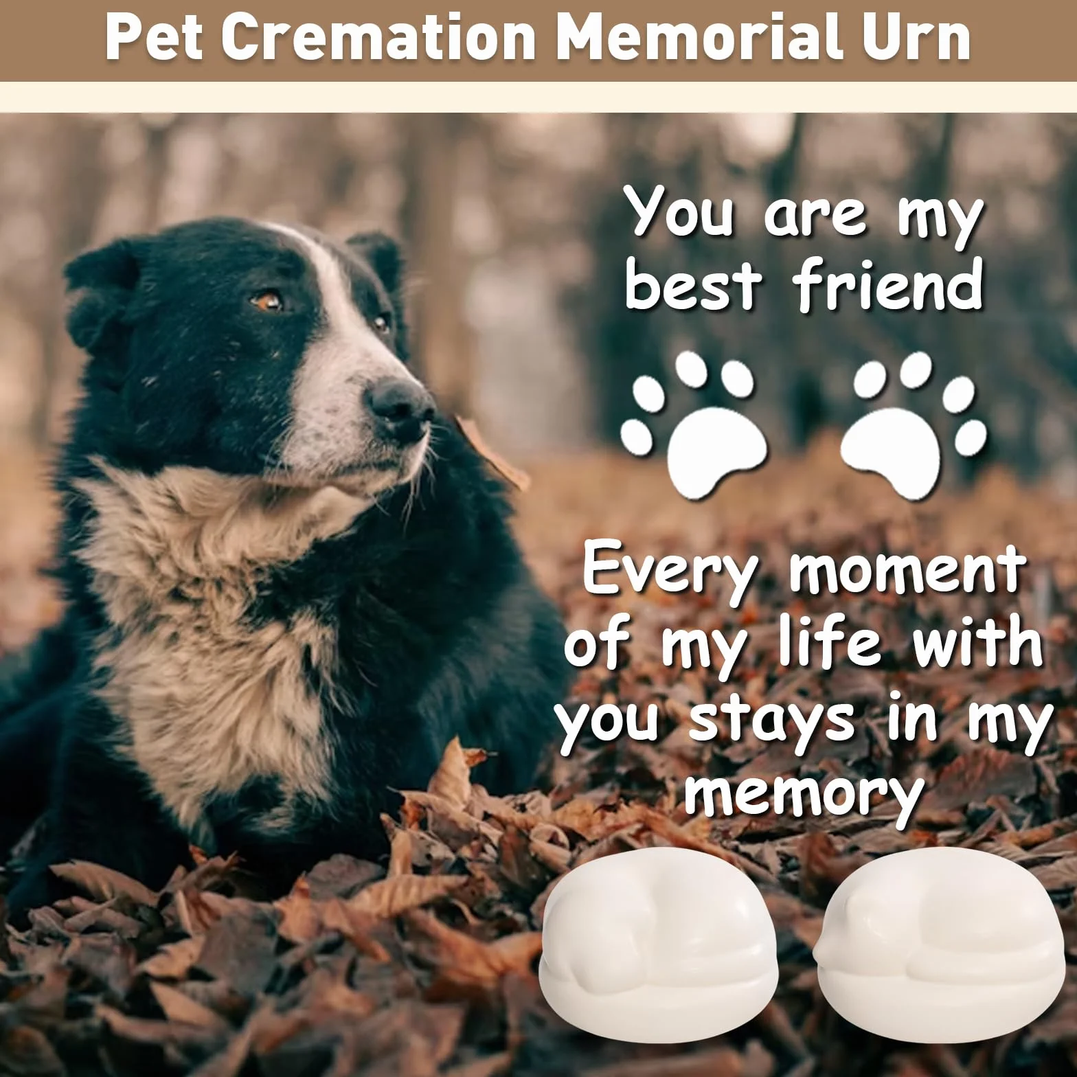 Urna conmemorativa de cremación para mascotas, contenedor de cerámica personalizado para cenizas de mascotas, para gatos, perros, tarro de recuerdo para recuerdo (gato)