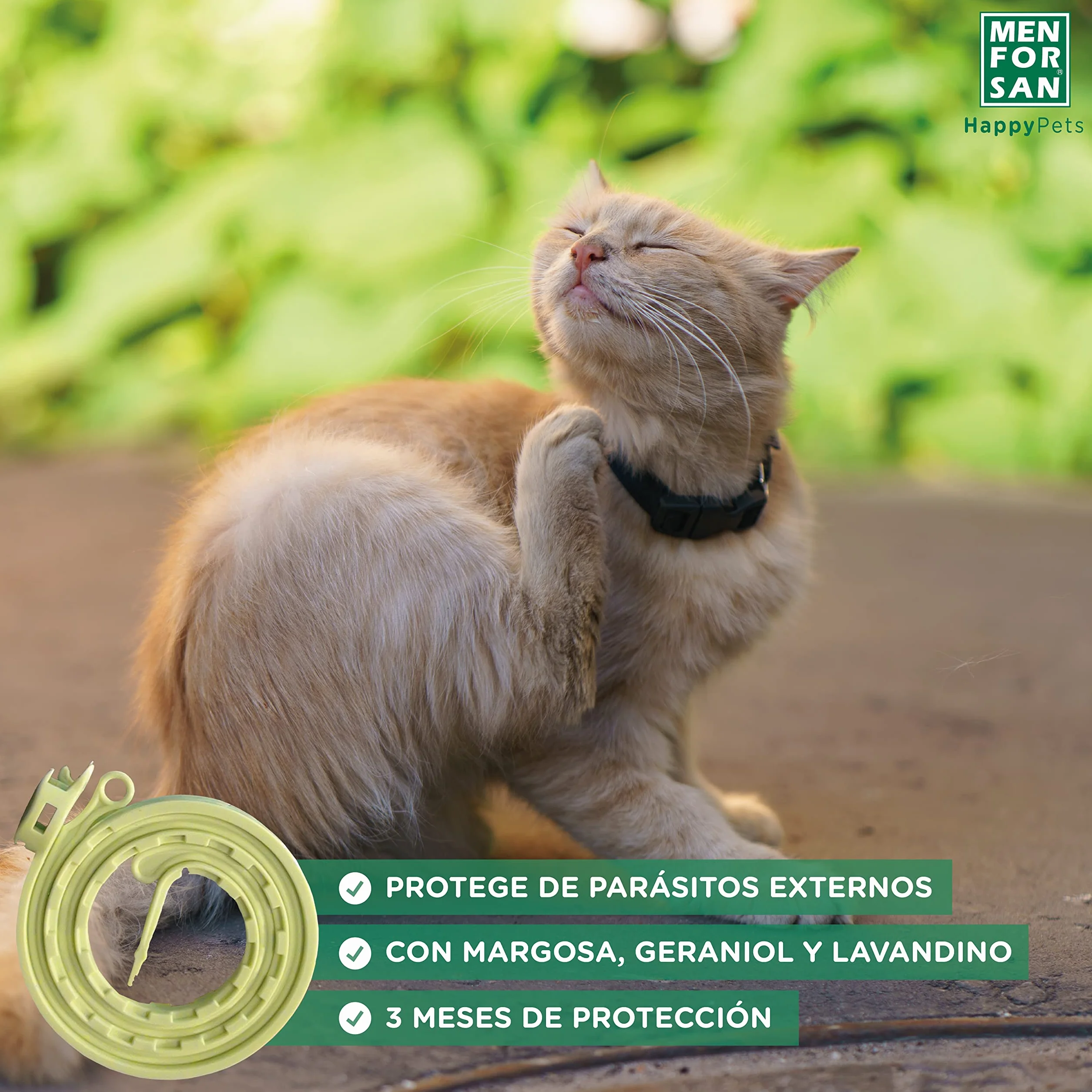 MENFORSAN Pack con 4 Collares Anti-Insectos Gatos, con Margosa, Geraniol y Lavandino, Bolsa autocierre
