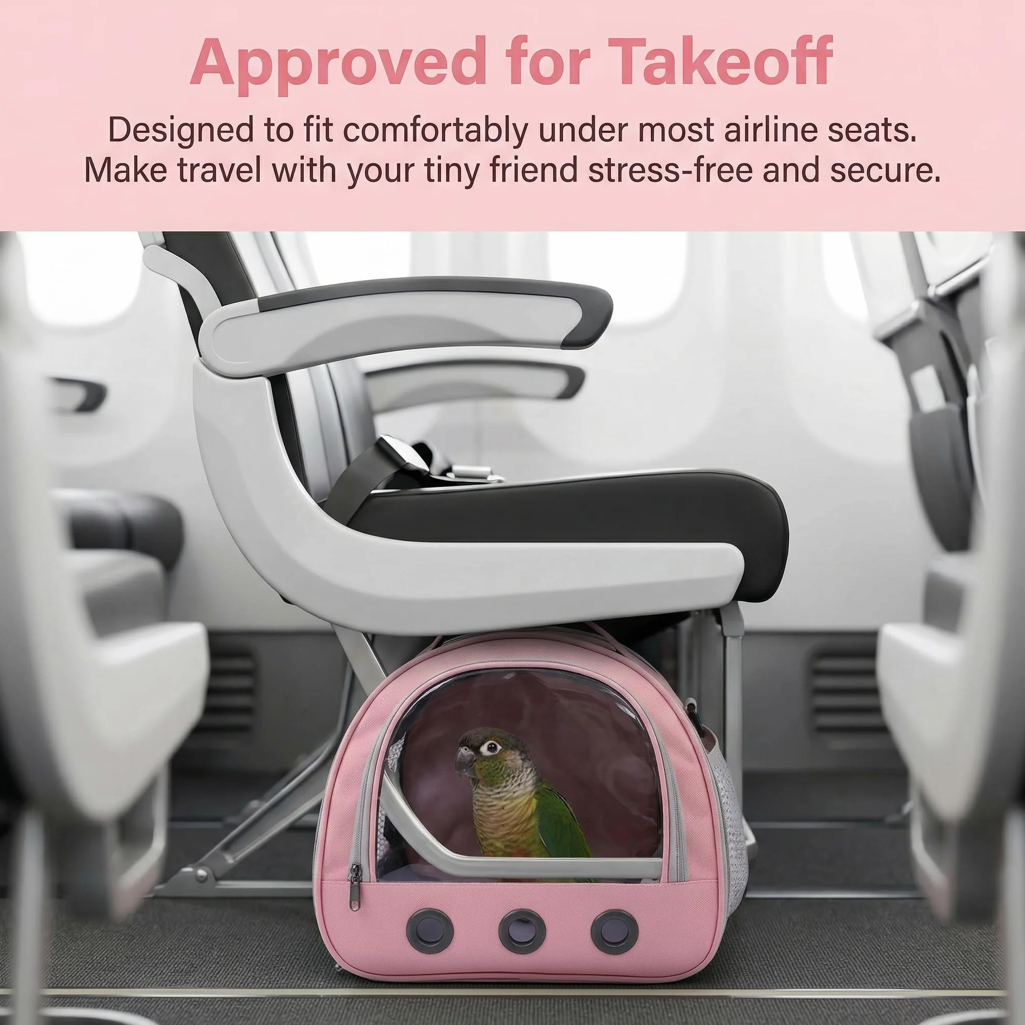 Transportador transparente para mascotas, jaula de viaje transparente portátil, contenedor de transporte, jaula de viaje para pájaros, ratas, hámsters y otros animales pequeños