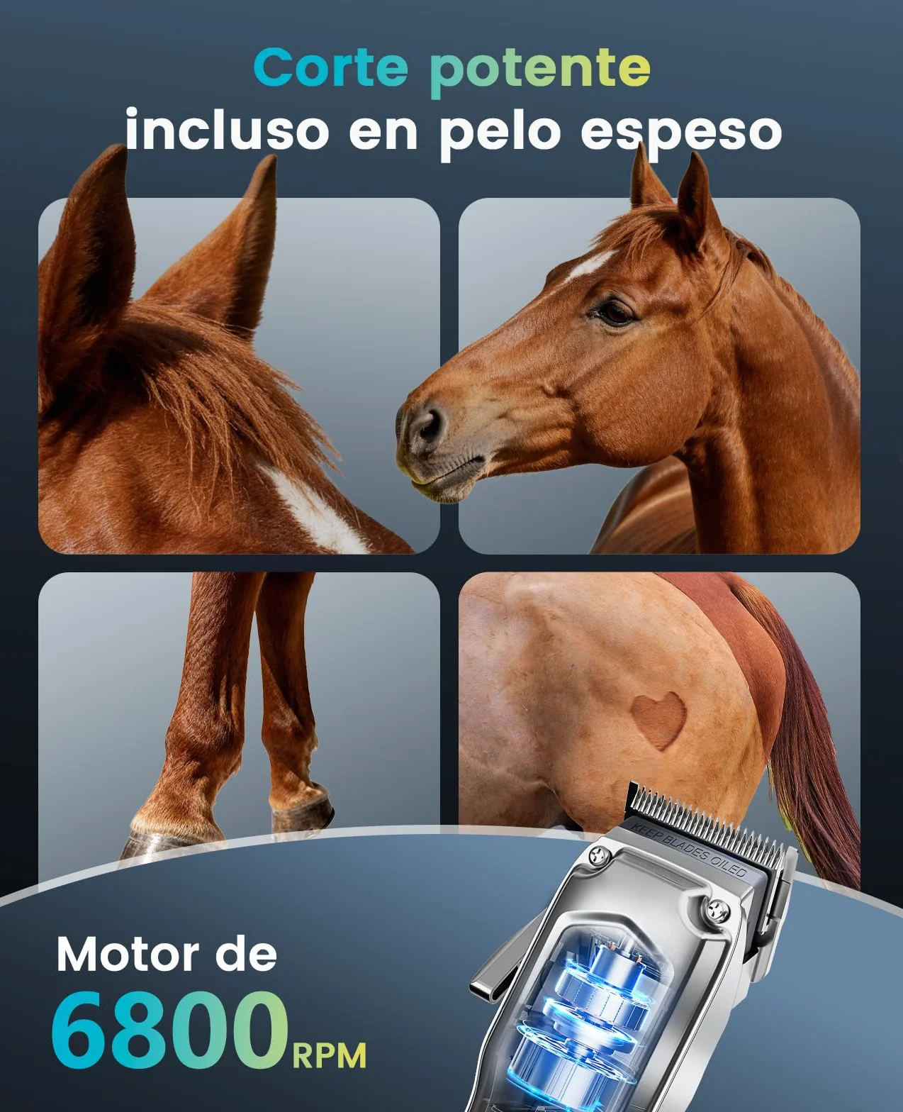 Oneisall Máquina Cortapelo para Caballos Inalámbrica 6 Accesorios Cuchilla Acero Extraíble Silenciosa Pelaje Grueso 4h Autonomía