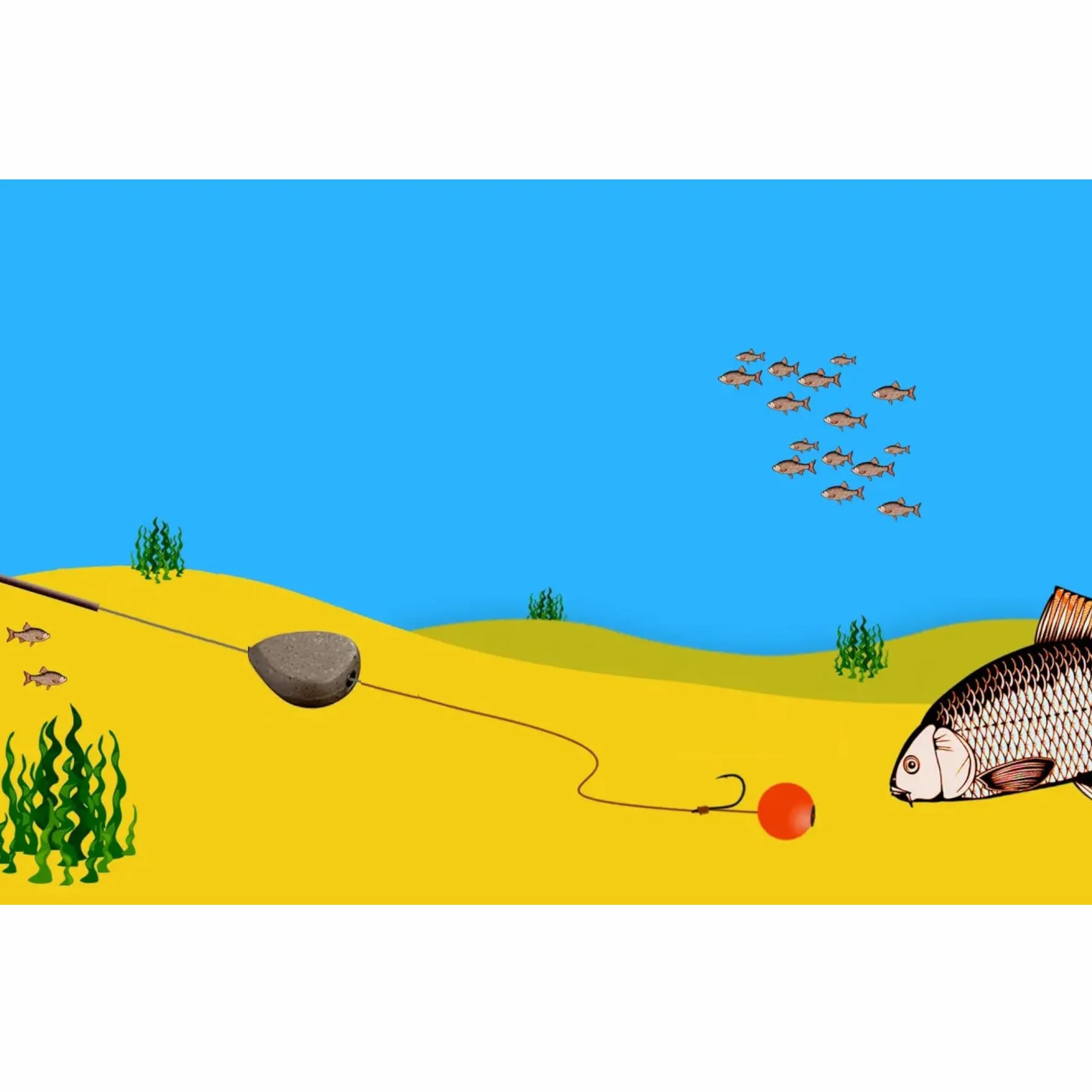 Plomos Pesca 10 x 80g - Inline Pesca Carpa Carpfishing Set Accesorios Fondo