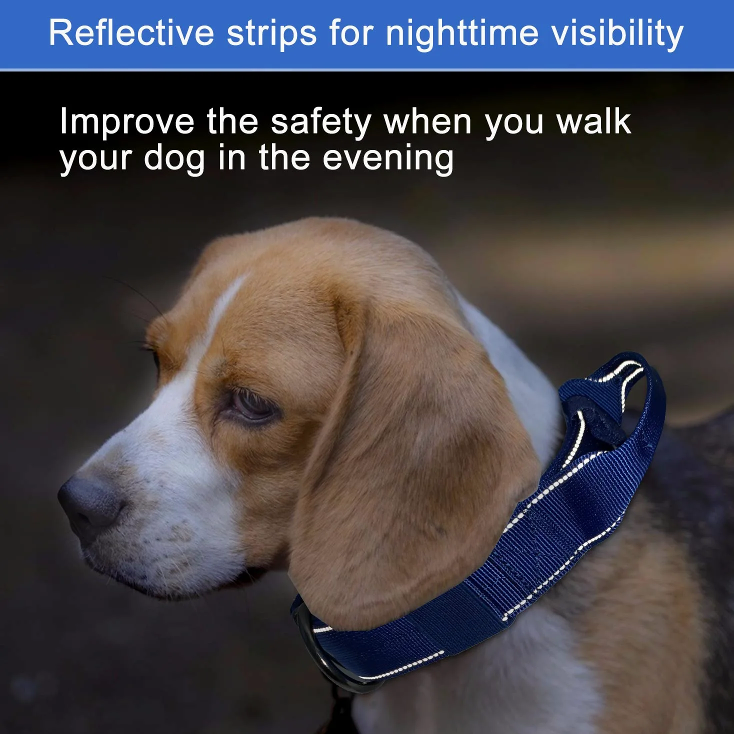Collar reflectante para perro, collar táctico resistente con mango de control y hebilla de metal para entrenamiento de perros (M,azul)