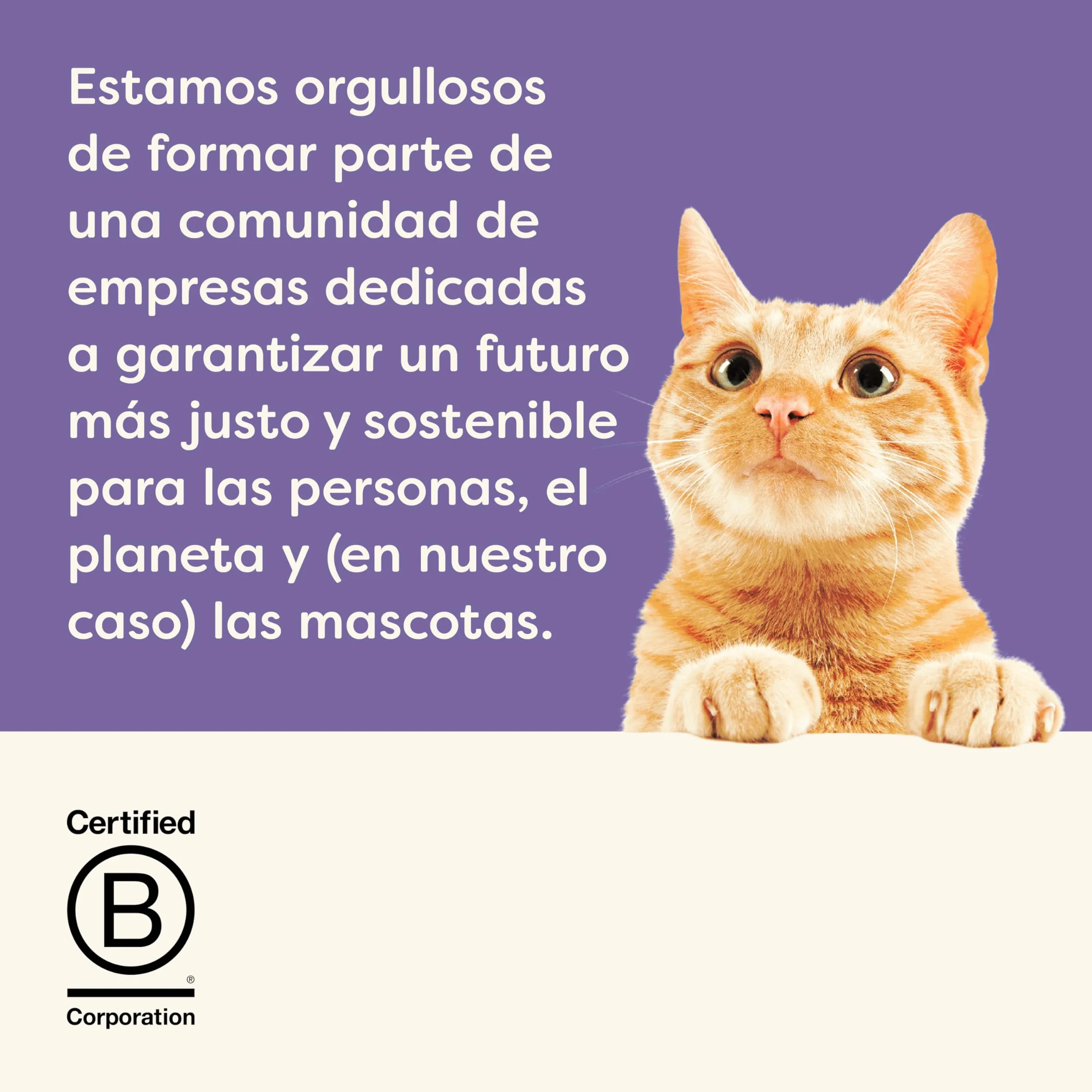 Applaws 100 % Natural cremoso lickable sin Cereales Snack para Gatos y Gatitos, Pack Variedad, 32 × 15 g Sobres