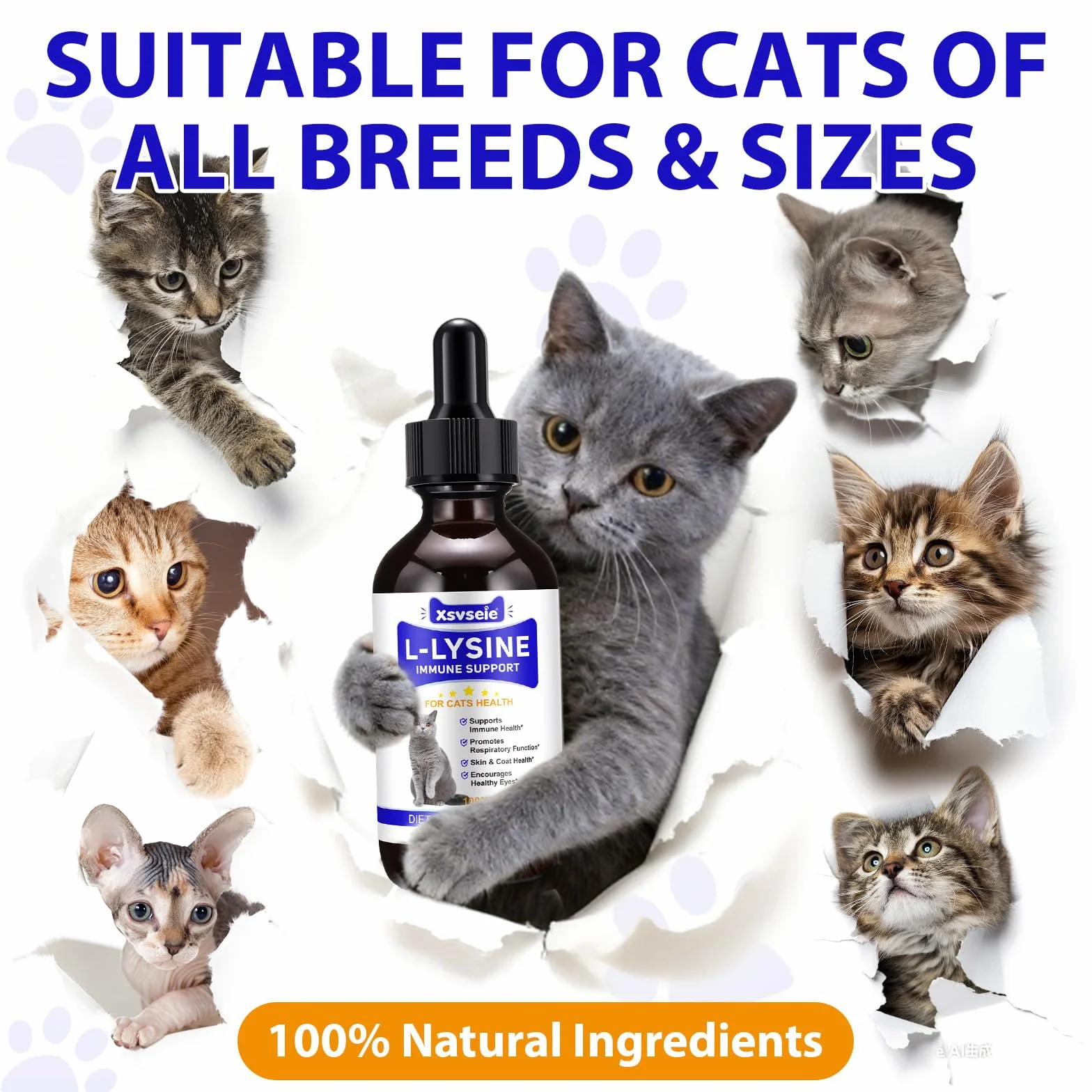 L-Lisina para Gatos, 60ML Lisina Gatos Aliviar Alergias en Gatitos, Estornudos, Gripe Felina, Antibióticos para Gatitos con Vitaminas y Minerales