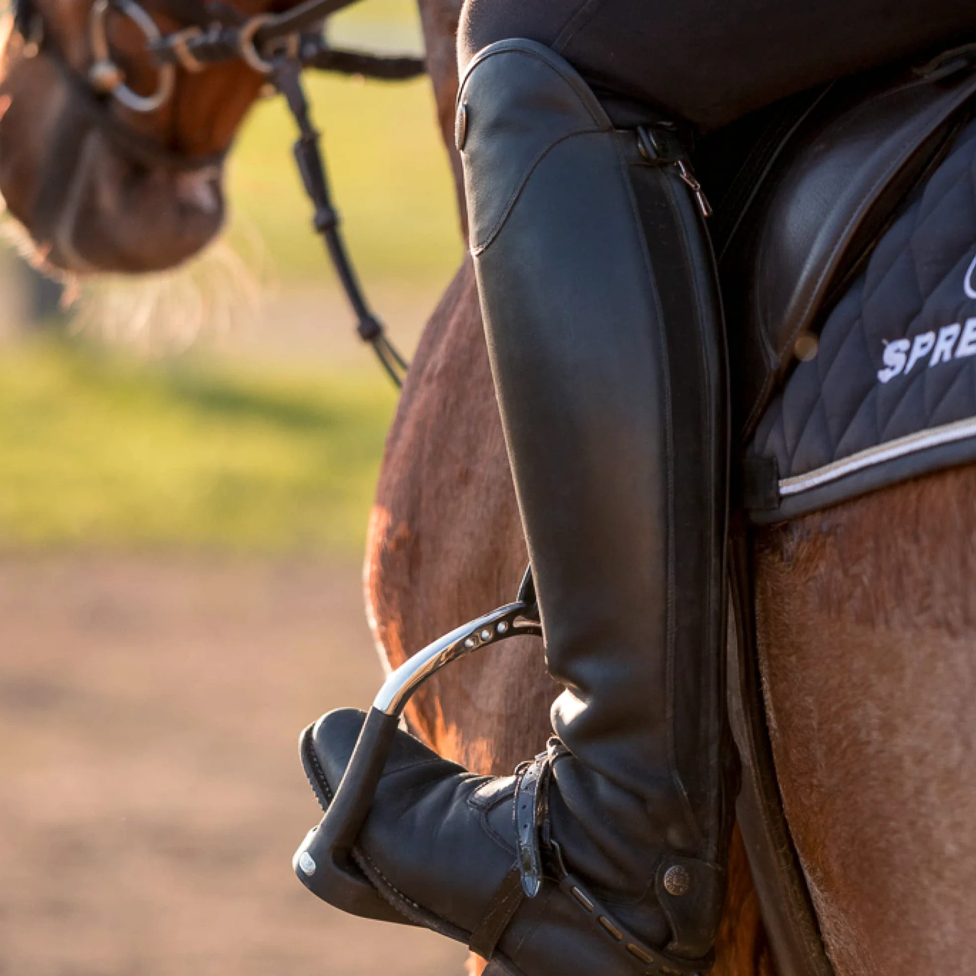 Sprenger - Ultra FIT Extra Grip Spurs