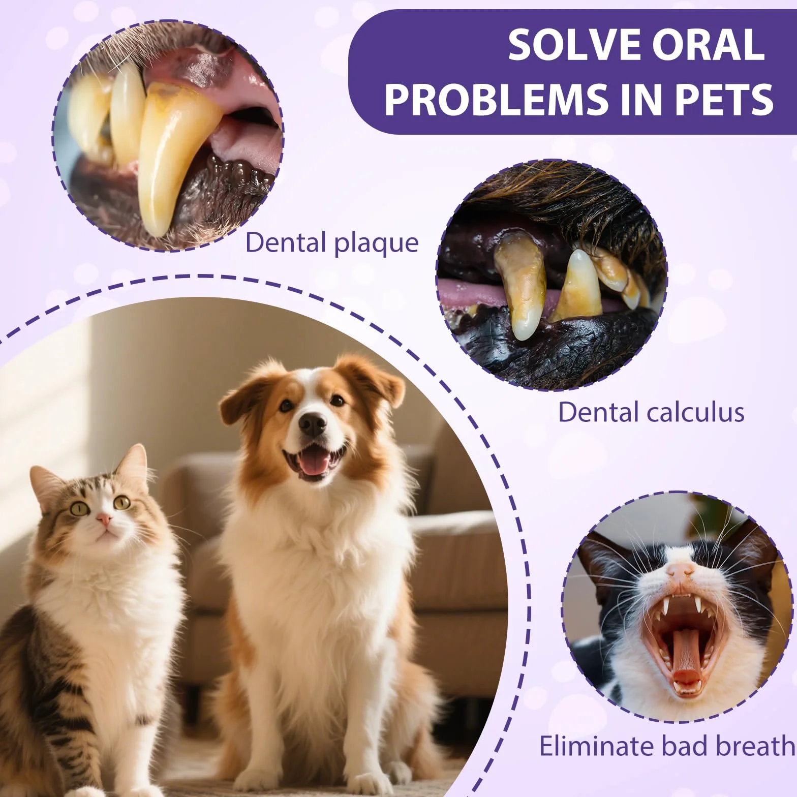 3 Piezas Pet Oral Repair Gel, BolíGrafo para El Cuidado Bucal De Mascotas, PortáTil La Limpieza Dental, BolíGrafo El Aseo Diario De Mascotas, para Gatos Y Perros